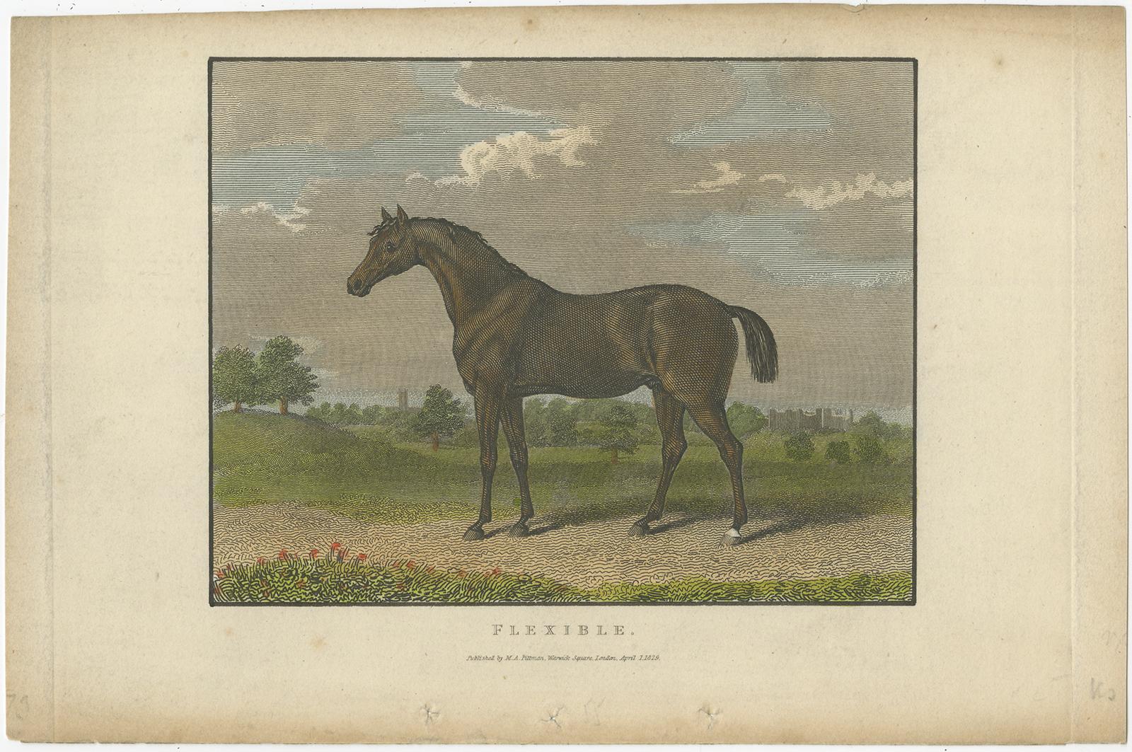 1830er-1850er Jahre Handkolorierte Gravuren von Rennpferden Fleur-de-Lis bis Whisker (Graviert) im Angebot
