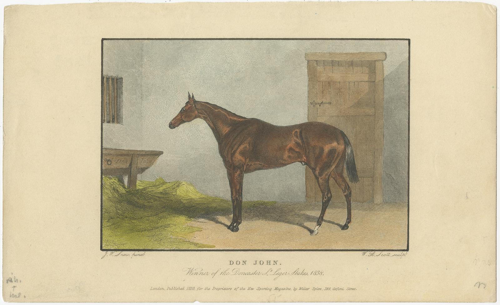 1830er-1850er Jahre Handkolorierte Gravuren von Rennpferden Fleur-de-Lis bis Whisker im Zustand „Gut“ im Angebot in Langweer, NL