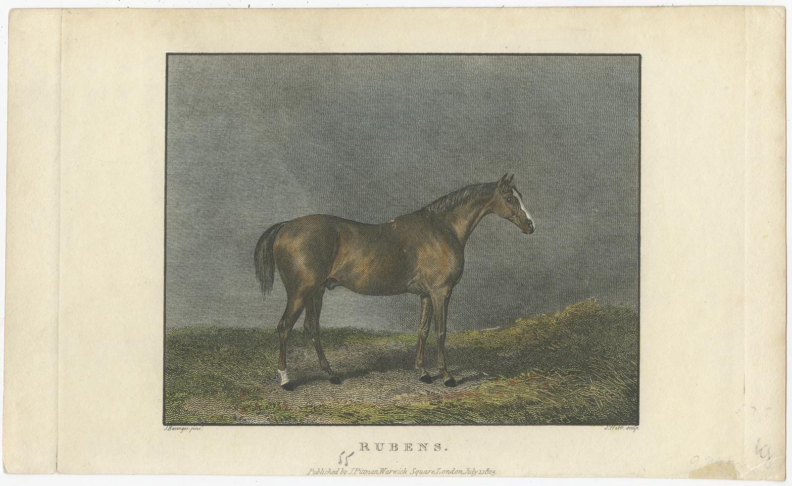 1830er-1850er Jahre Handkolorierte Gravuren von Rennpferden Fleur-de-Lis bis Whisker (Papier) im Angebot