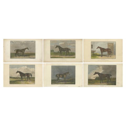 1830s-1850s Hand-Colored Engravings of Racehorses Fleur-de-Lis to Whisker