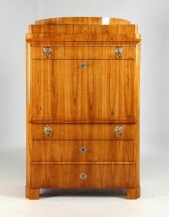 1830s German Biedermeier Secretaire Desk with hidden Compartement