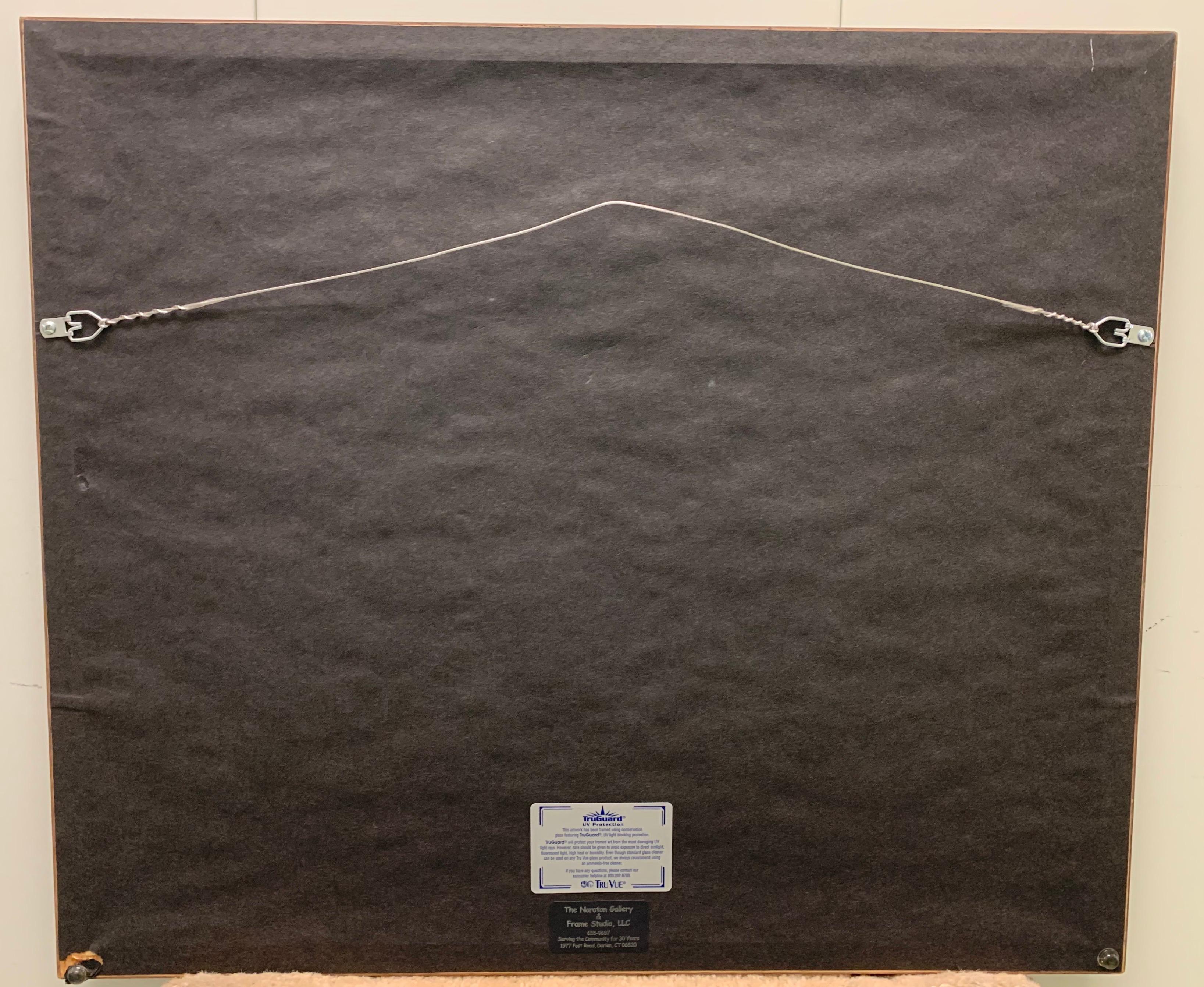 Mid-19th Century 1834 Mexico & Guatemala Framed Map by H.S. Tanner For Sale