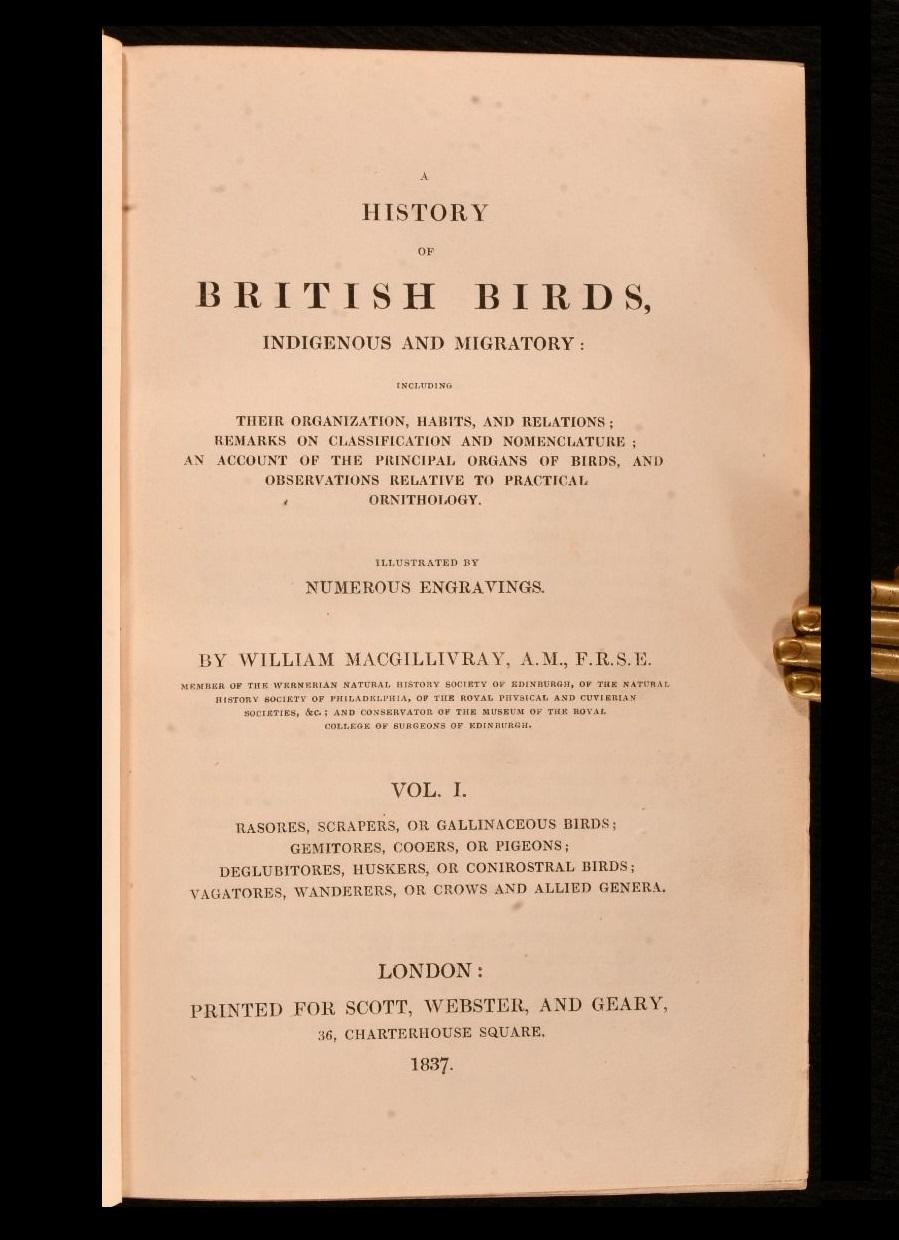 Britannico 1837-52 Storia degli uccelli inglesi, indigeni e migratori in vendita