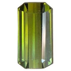 1.83ct Deep Green Tourmaline Fancy Scissor Emerald Octagon Cut