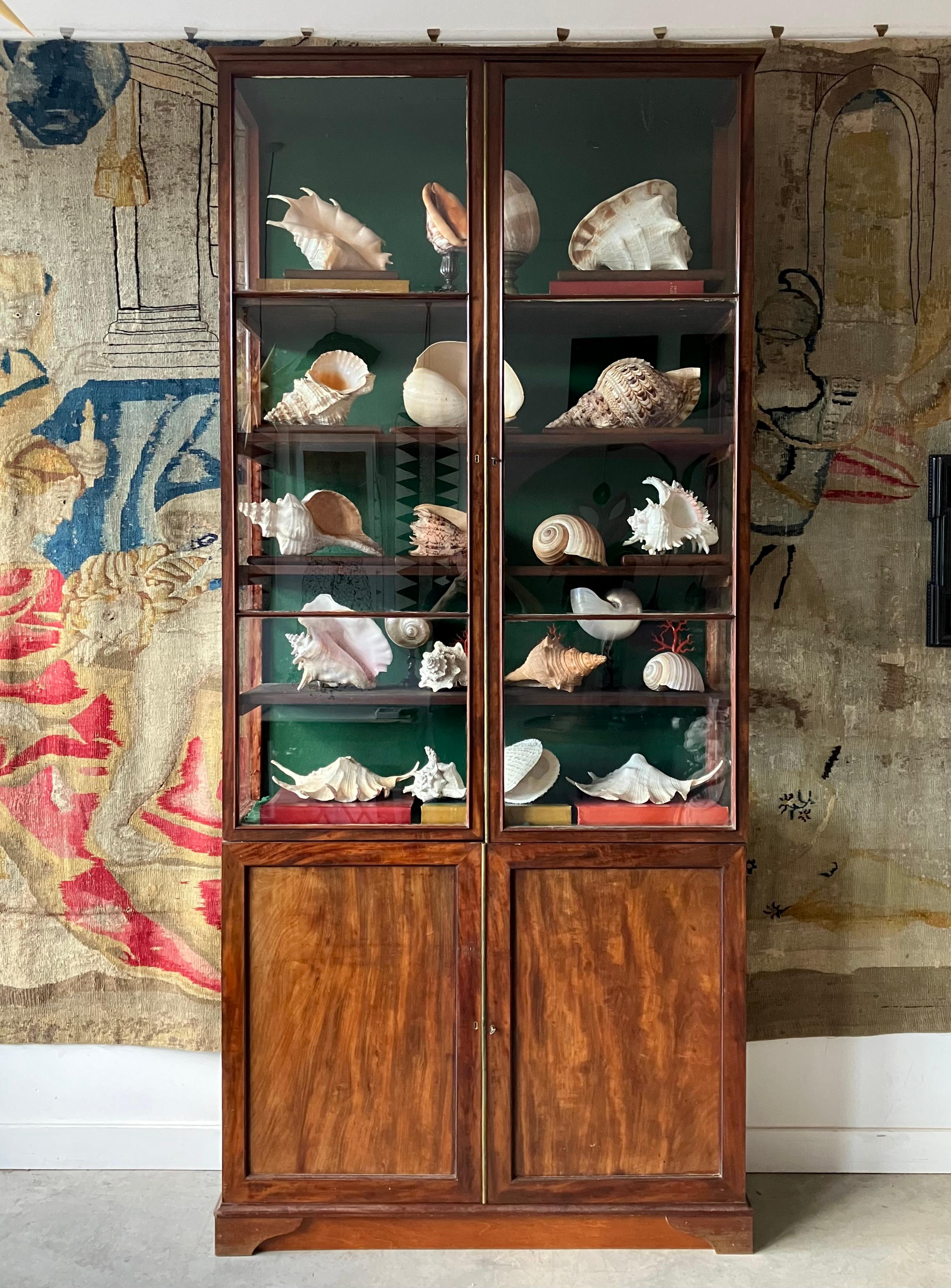 1841 rare collection de grands coquillages, sur des bases anciennes en acajou.

60 pièces des grandes coquilles, 18 boîtes des petites coquilles.

Provenance jointe dans la section photo.

Hughes C.C. Fulton (Feu Sowerby & Fulton)

Éditeurs du
