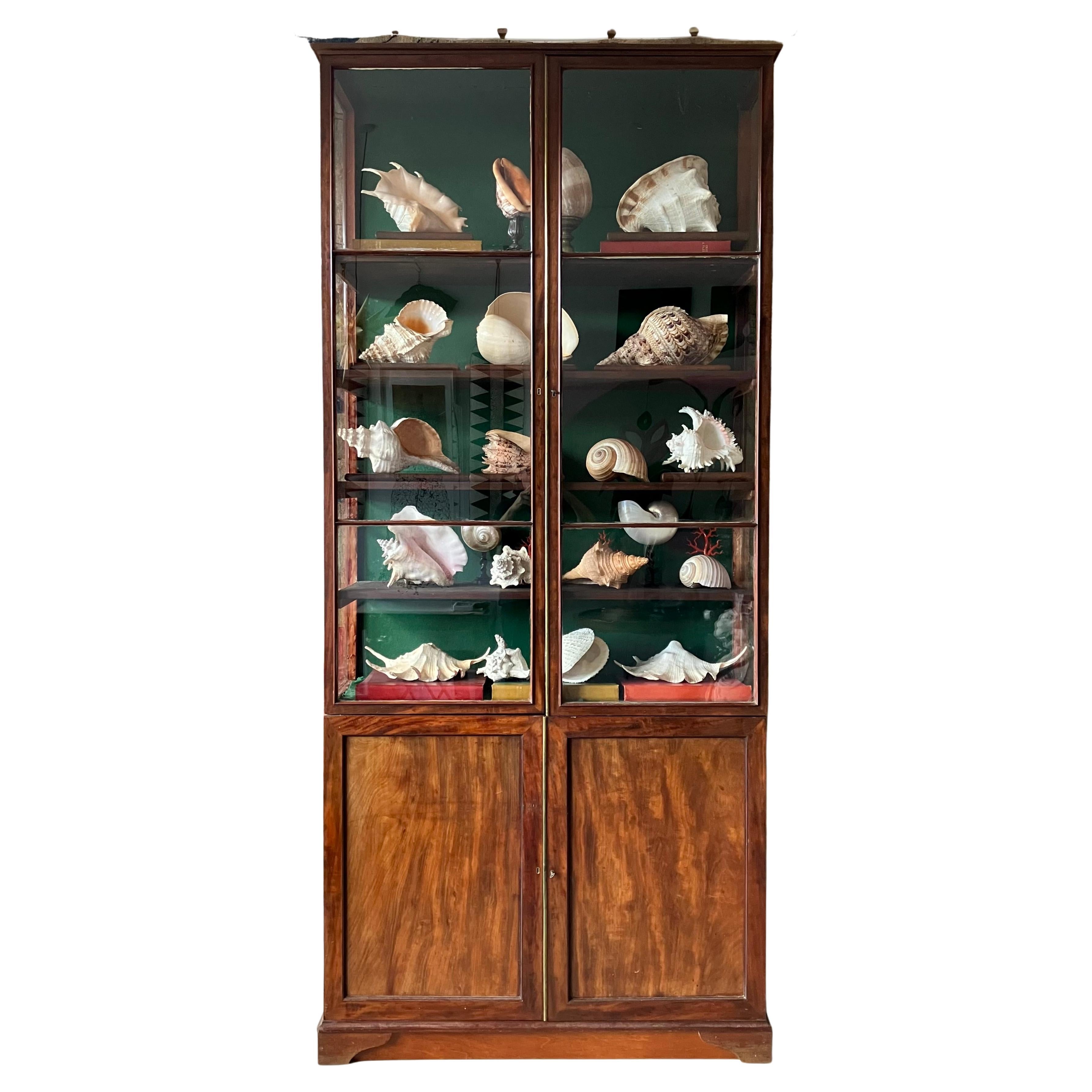 1841 Shell Collection