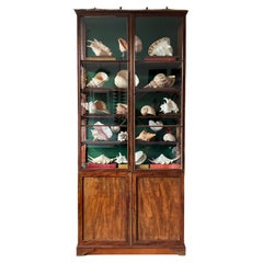 1841 Shell Collection