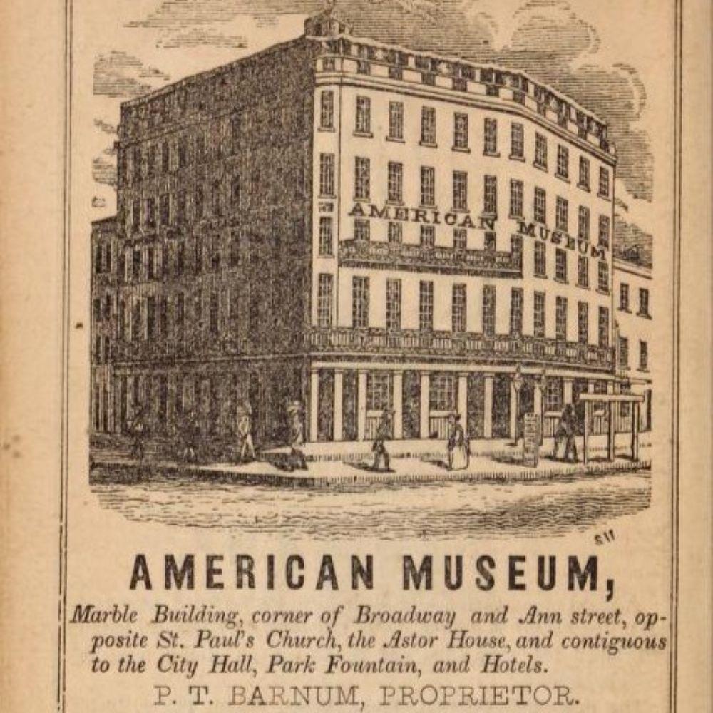 1845 La grande metropoli: O New York nel 1845 - Provenienza famiglia Kip in vendita 3