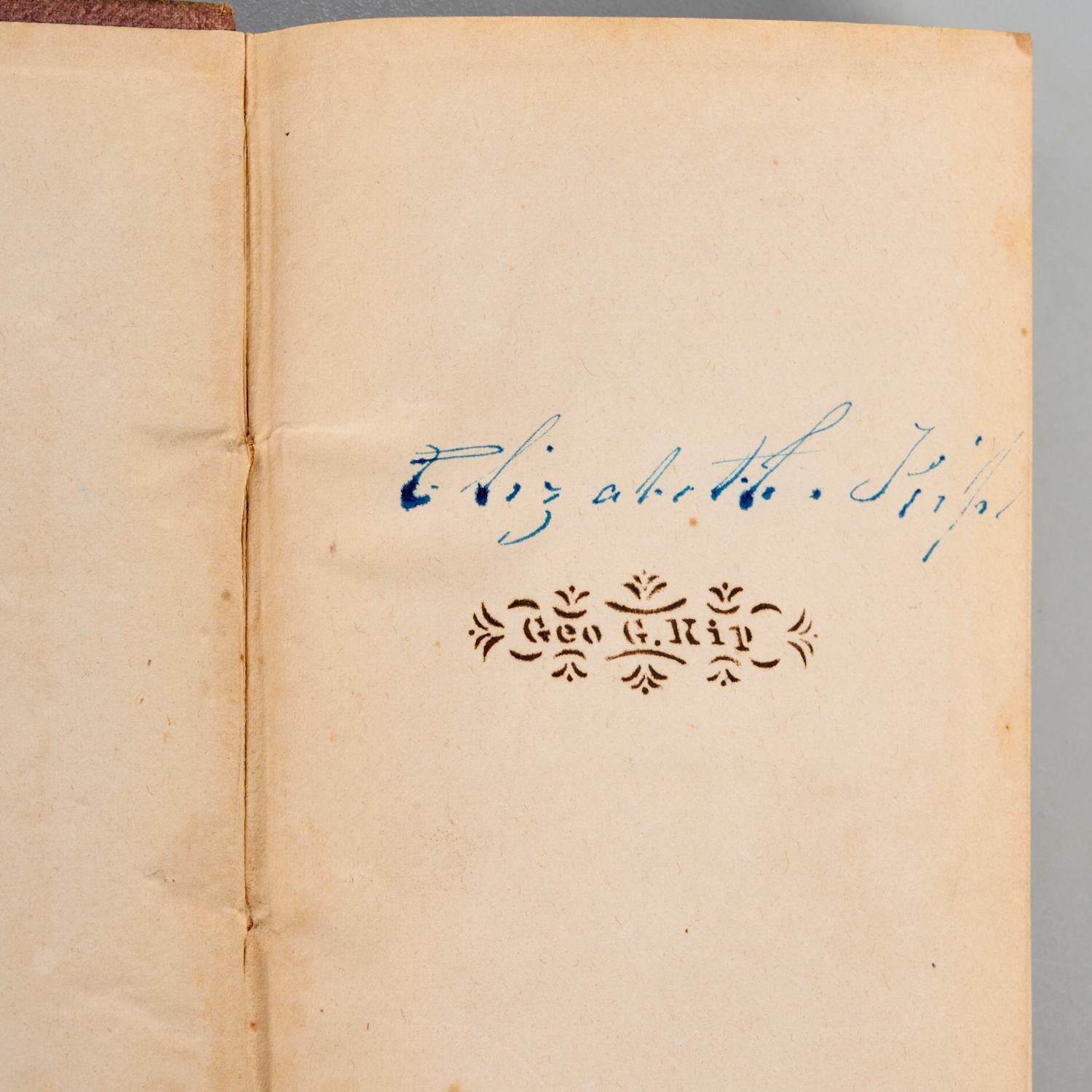 1845 La grande metropoli: O New York nel 1845 - Provenienza famiglia Kip In condizioni buone in vendita a Morristown, NJ