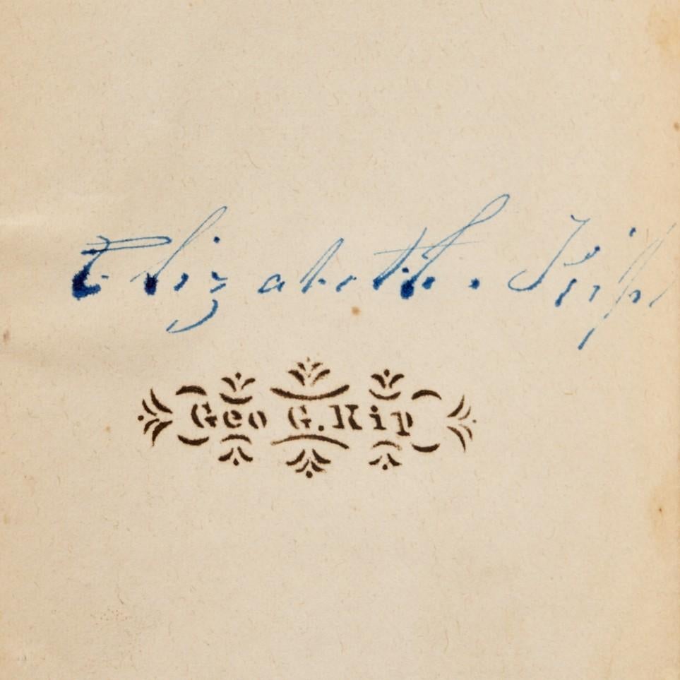 Metà XIX secolo 1845 La grande metropoli: O New York nel 1845 - Provenienza famiglia Kip in vendita