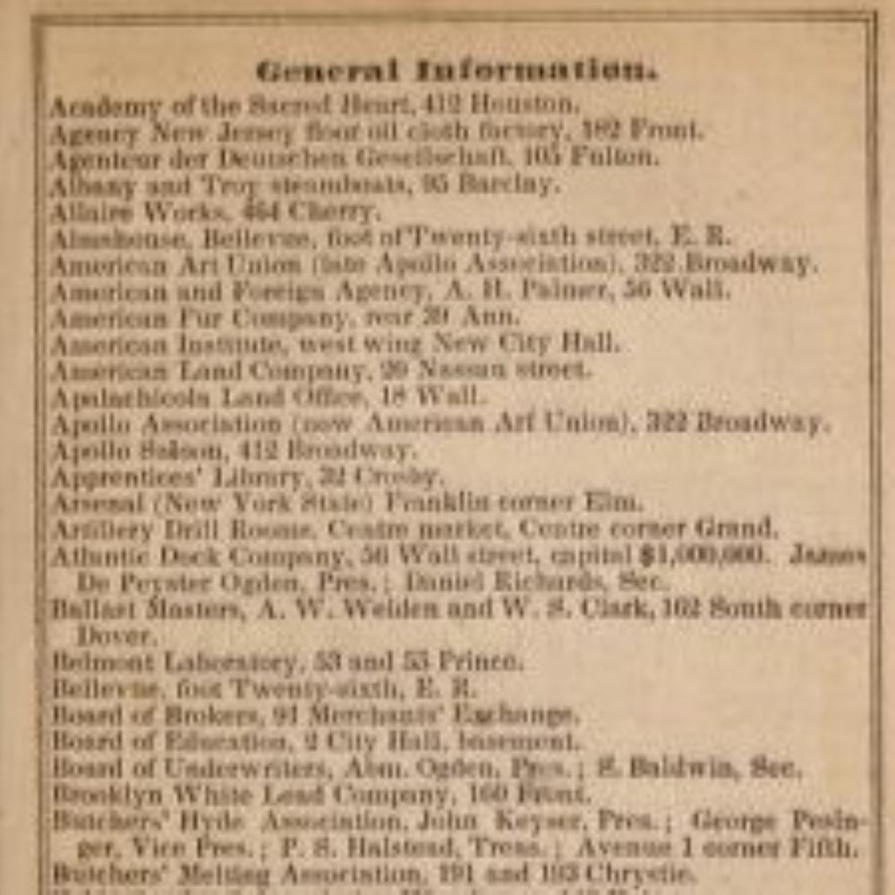 1845 La grande metropoli: O New York nel 1845 - Provenienza famiglia Kip in vendita 2
