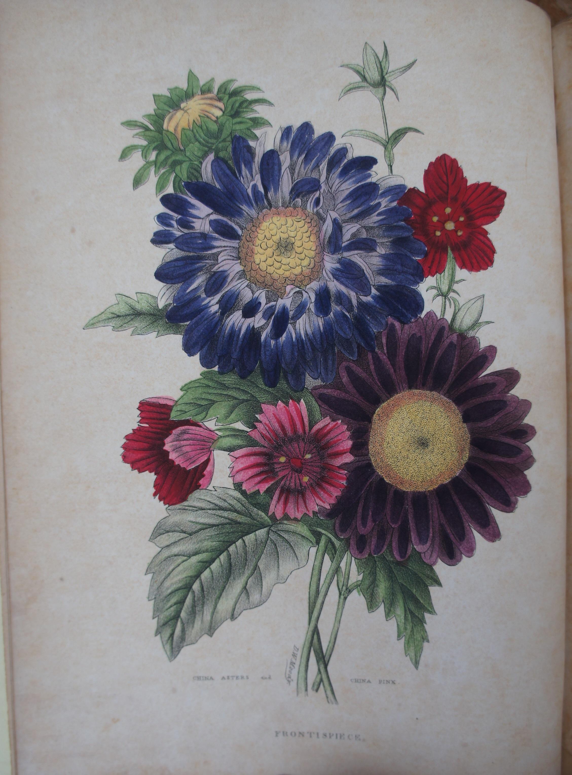 1847 American Flora or History of Plants and Wild Flowers by A.B. Strong Book In Good Condition In Dayton, OH