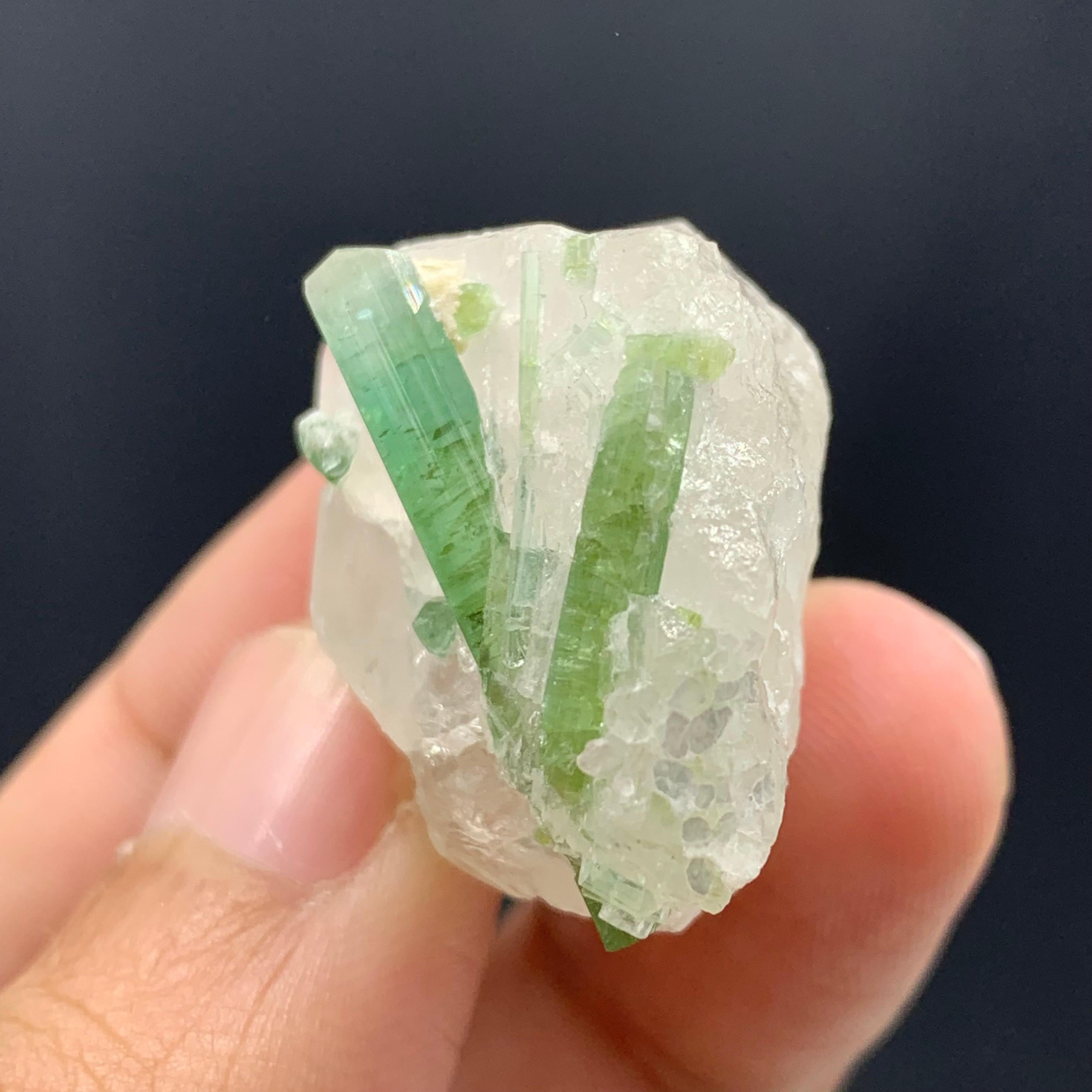 Rock Crystal 18.49 Gram Beautiful Tourmaline Crystals Attached With Quartz From Afghanistan  For Sale