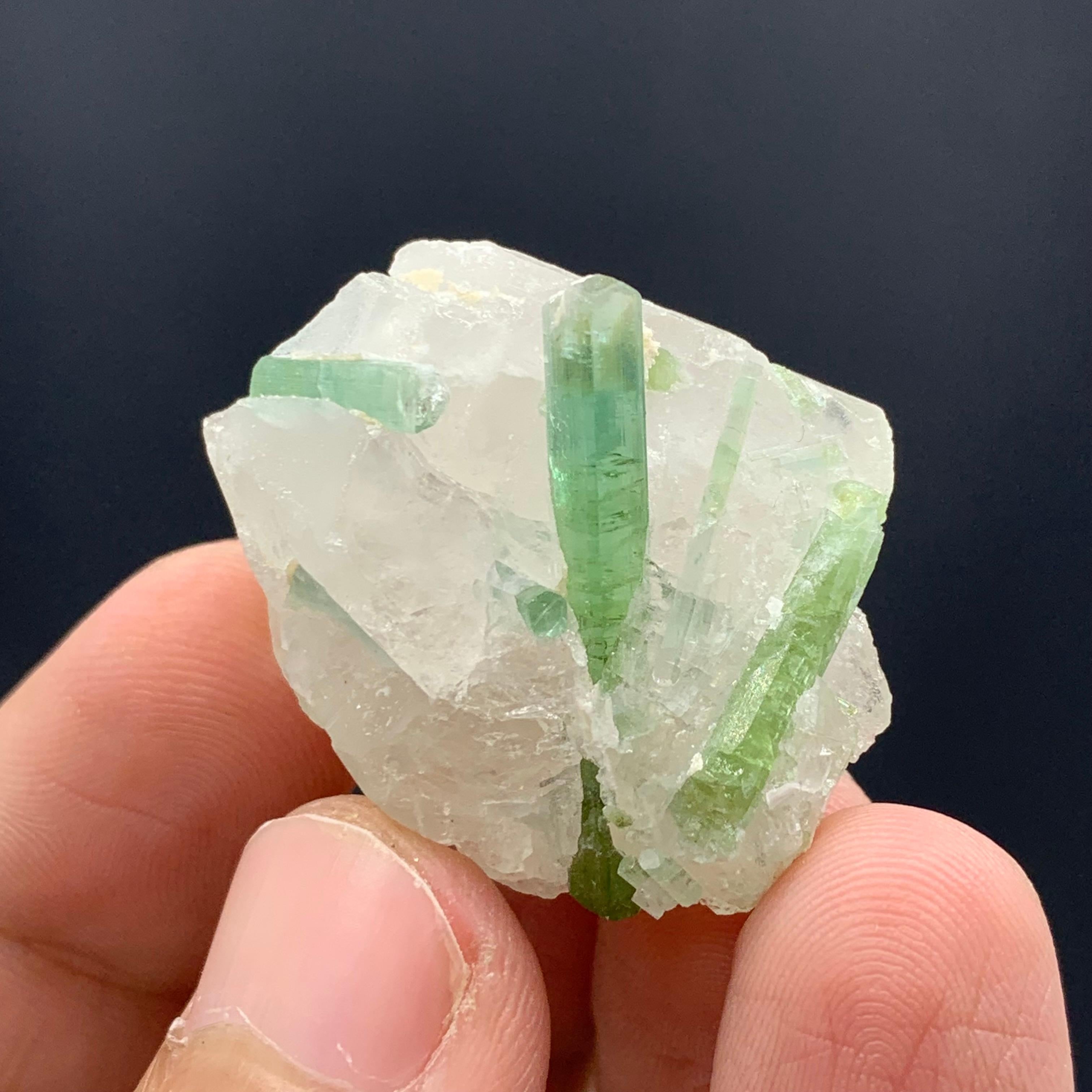 18.49 Gram Beautiful Tourmaline Crystals Attached With Quartz From Afghanistan  For Sale 1