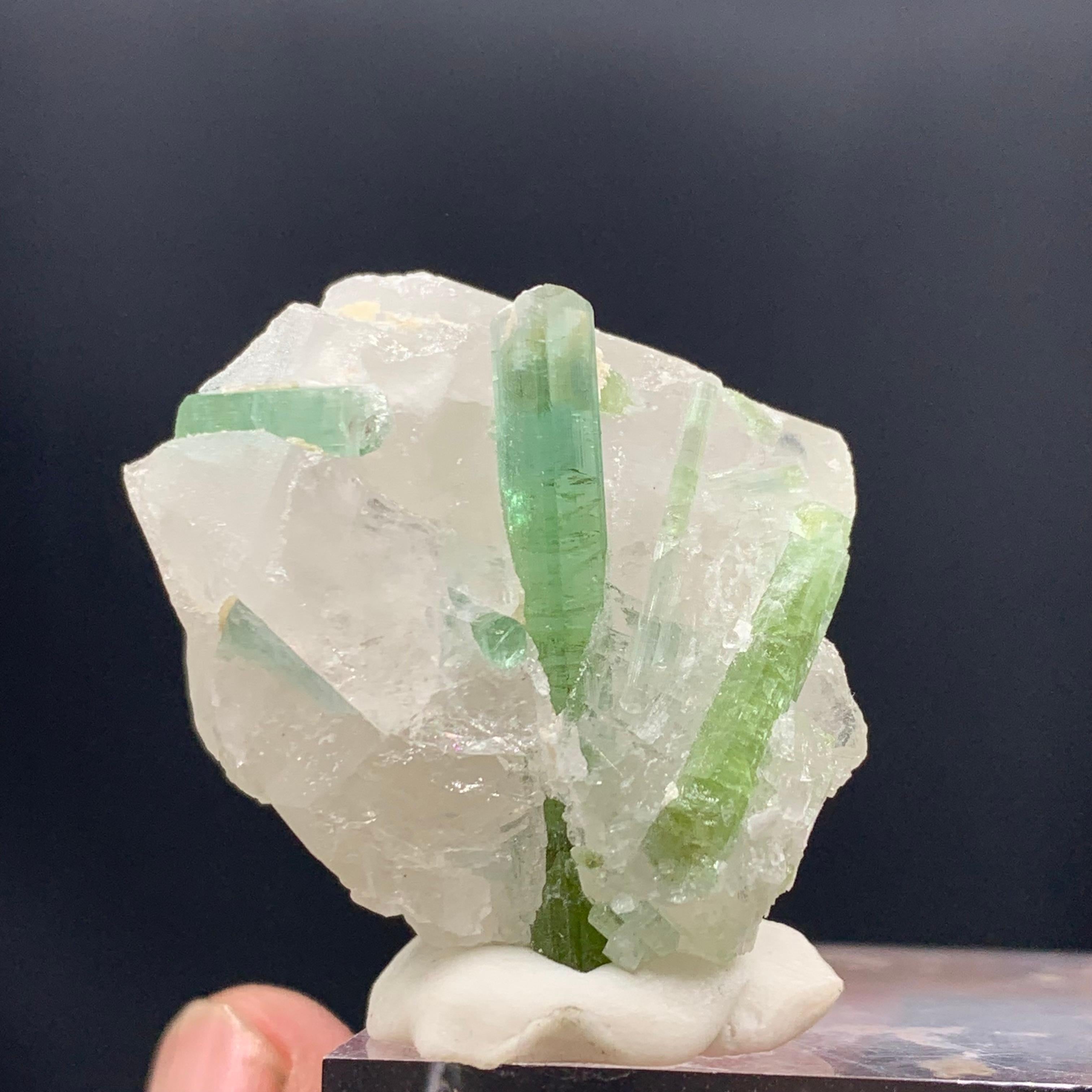18.49 Gram Beautiful Tourmaline Crystals Attached With Quartz From Afghanistan 

Weight: 18.49 Gram 
Dimension: 2.9 x 3 x 2 Cm
Origin: Afghanistan 

Tourmaline is a crystalline silicate mineral group in which boron is compounded with elements such