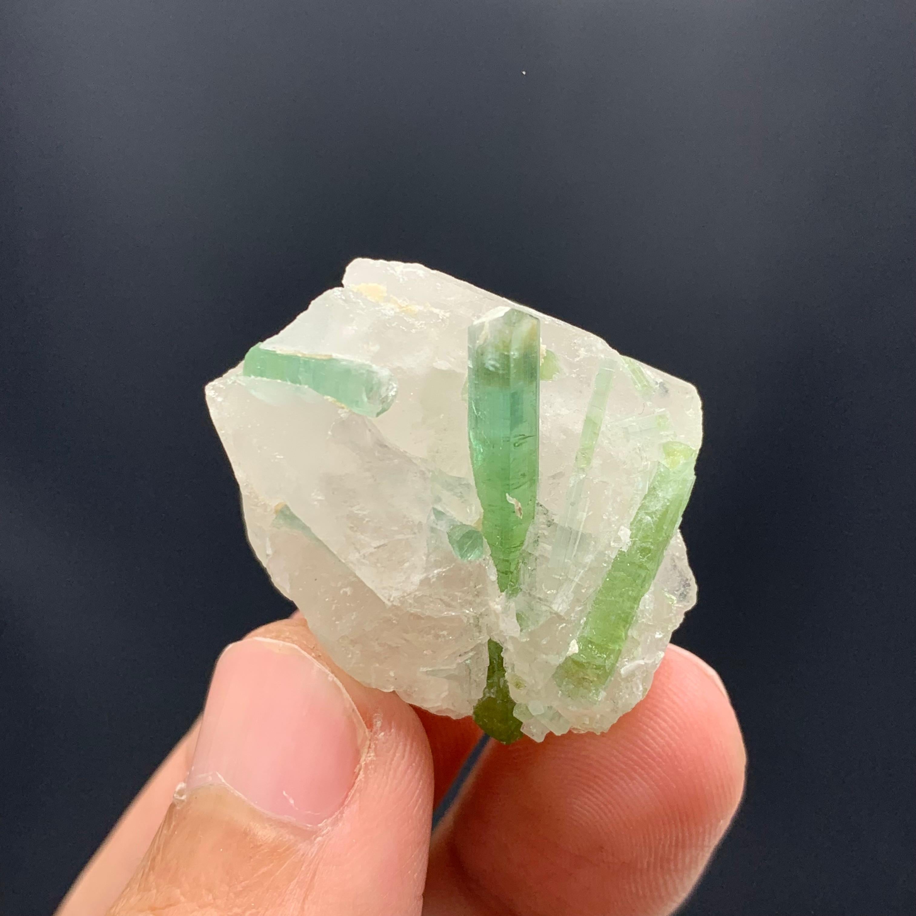 Adam Style 18.49 Gram Beautiful Tourmaline Crystals Attached With Quartz From Afghanistan  For Sale