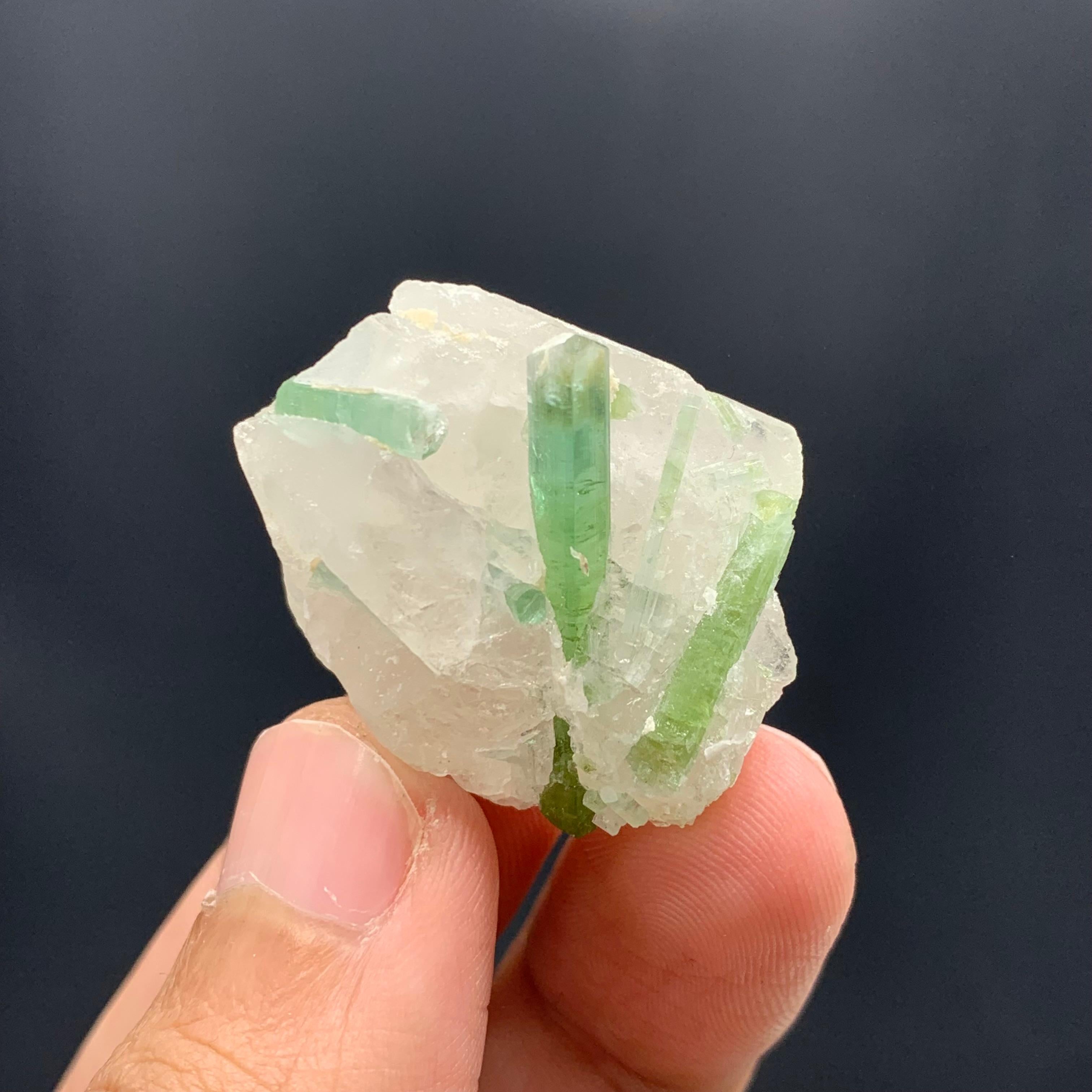 Other 18.49 Gram Beautiful Tourmaline Crystals Attached With Quartz From Afghanistan  For Sale