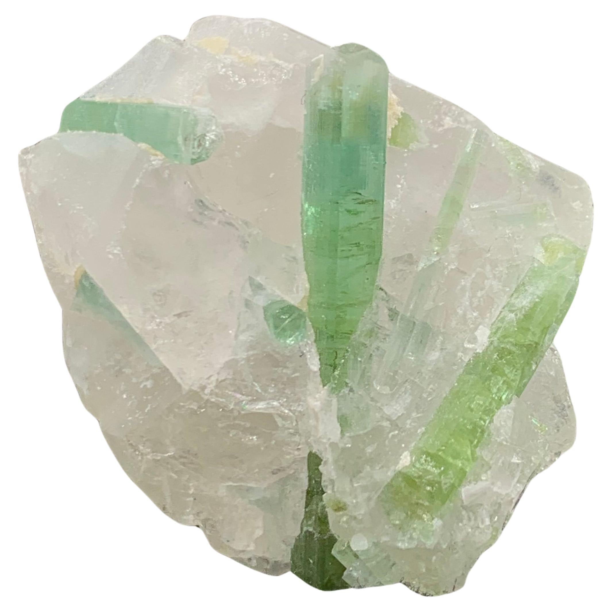 18.49 Gram Beautiful Tourmaline Crystals Attached With Quartz From Afghanistan  For Sale