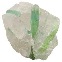 Magnifiques cristaux de tourmaline attachés de quartz d'Afghanistan, 18,49 grammes 