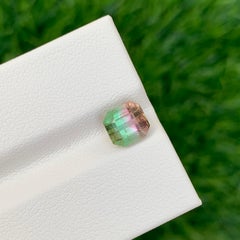 1.85 Carat Natural Loose Bi Colour Tourmaline Octagon Shape Gemstone