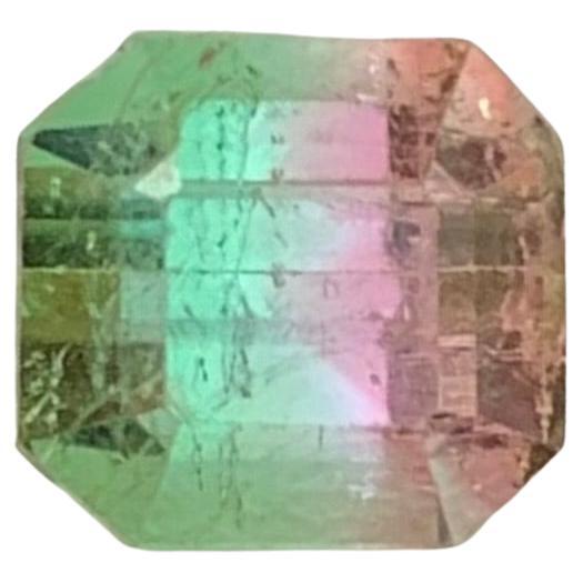 Pierre précieuse de forme octogonale, tourmaline naturelle libre bicolore de 1,85 carat