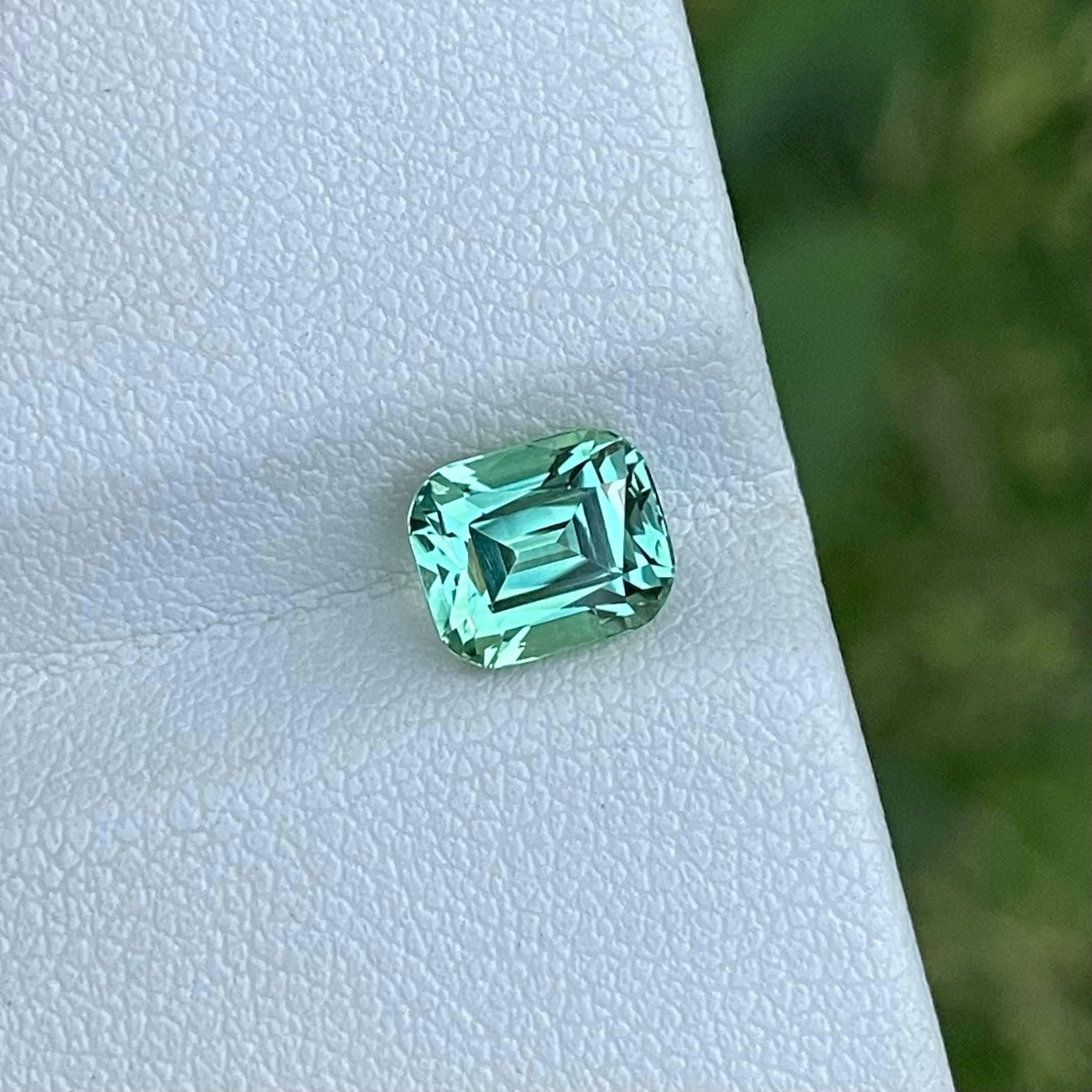 Gewicht 1,85 Karat 
Abmessungen 7,2x6,0x5,3 mm
Behandlung keine 
Herkunft Tansania 
Klarheit Auge sauber 
Kissen formen 
Fancy Kissen schneiden 



Der 1,85 Karat schwere Sea Form Turmalin, ein Edelstein im Kissenschliff aus den berühmten Minen von