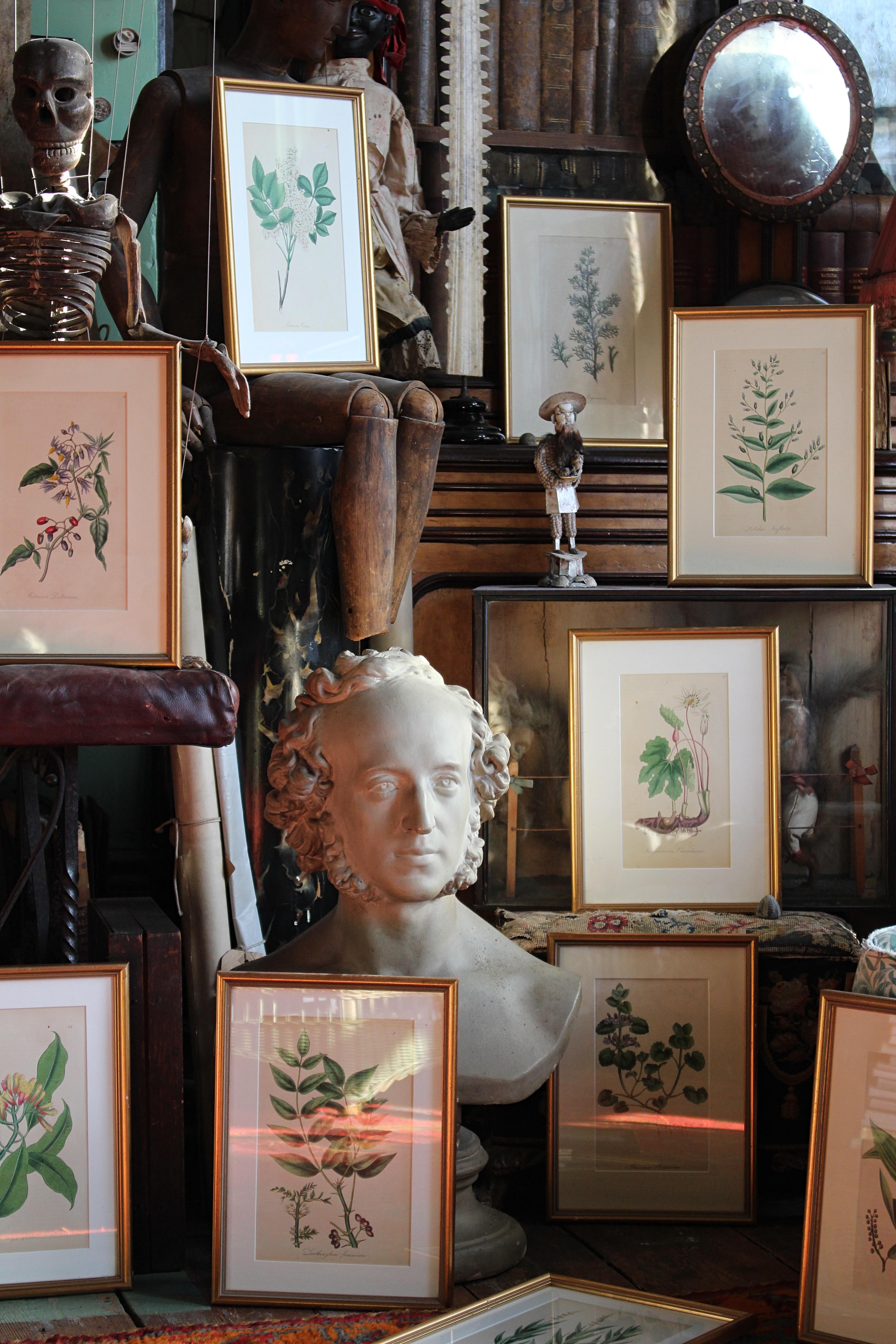 19th Century 1850 12 Hand Coloured Botanical Plates From the American Practice of Medicine For Sale