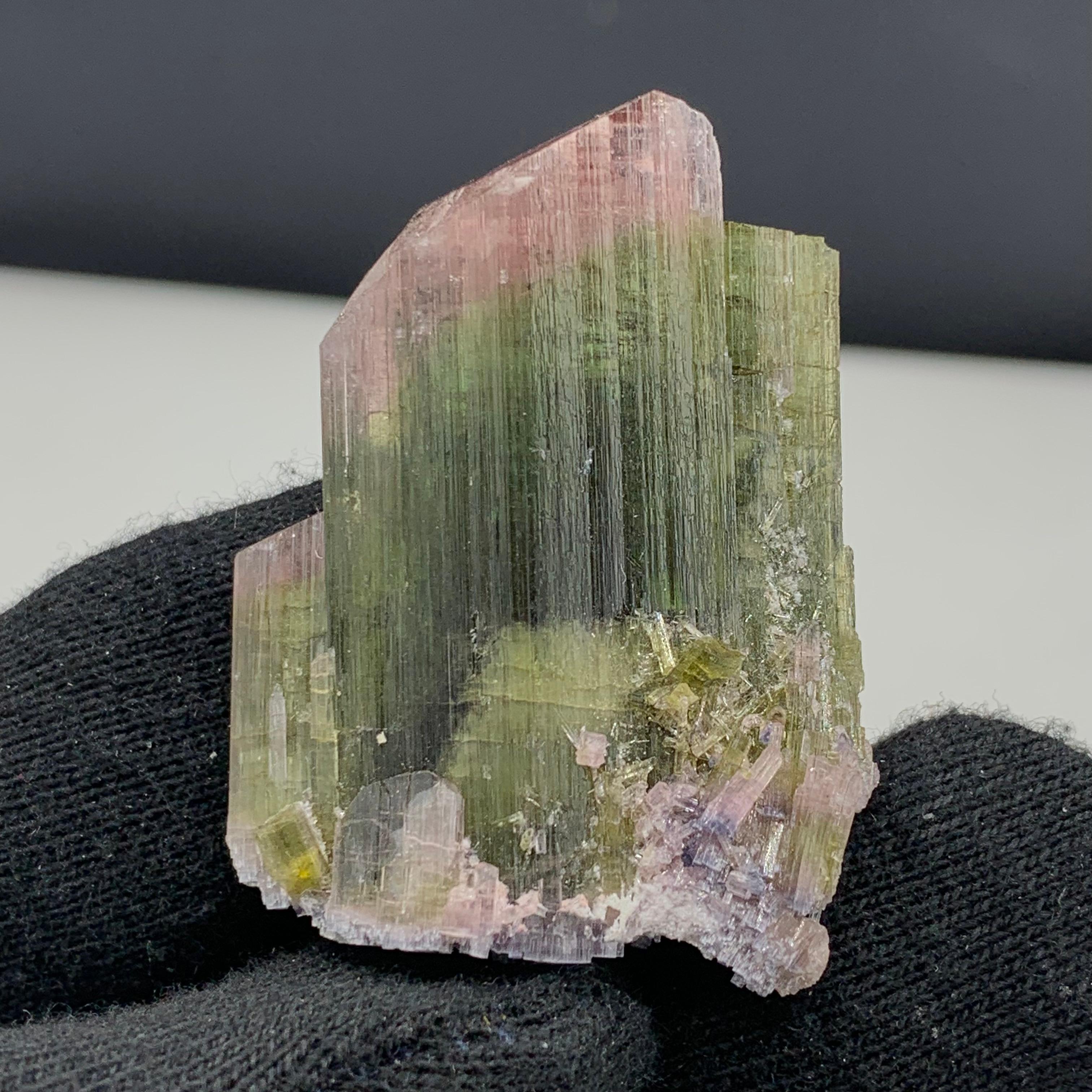 18.50 Gram Pretty Bi Color Tourmaline Specimen From Paprook, Afghanistan  In Good Condition For Sale In Peshawar, PK