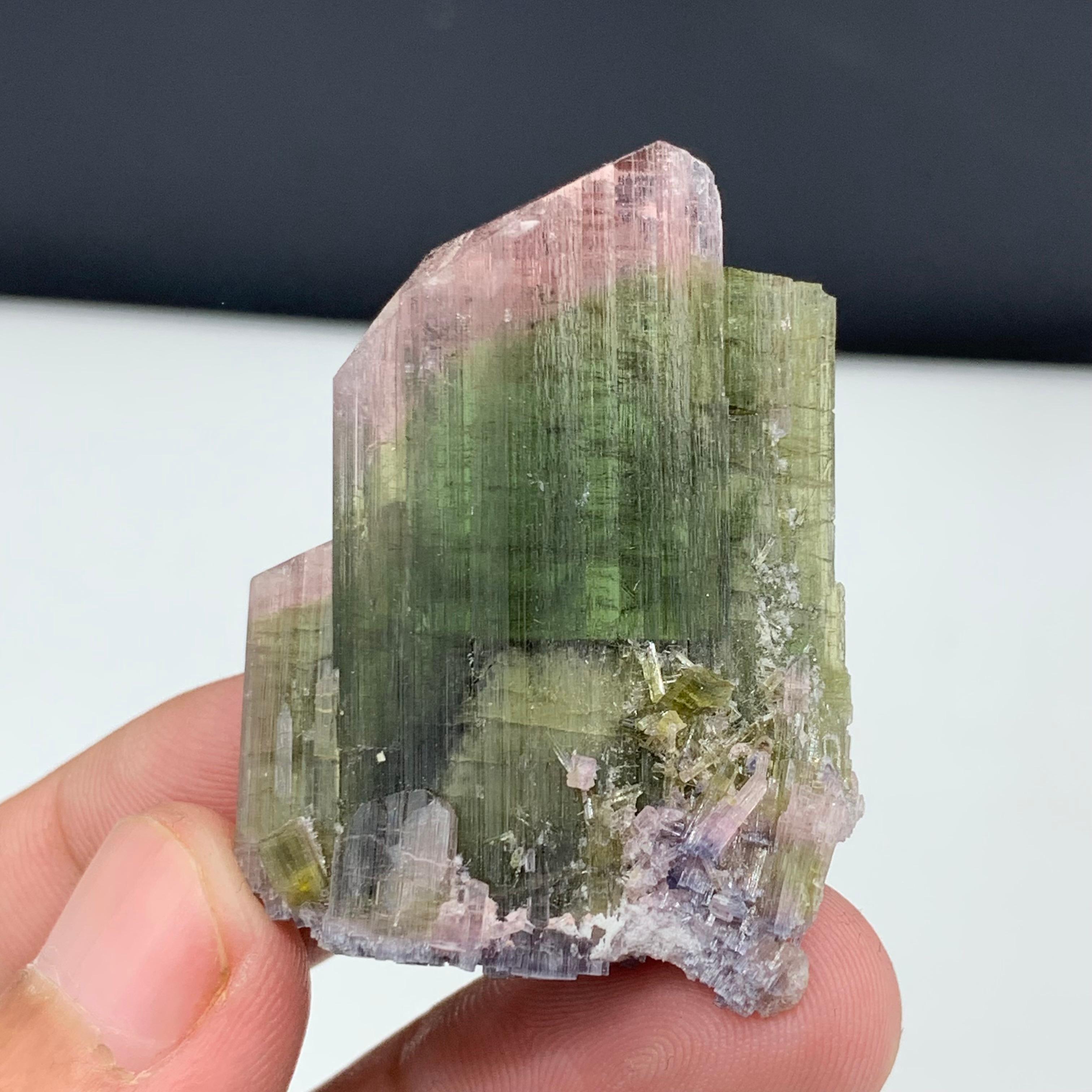 18th Century and Earlier 18.50 Gram Pretty Bi Color Tourmaline Specimen From Paprook, Afghanistan  For Sale