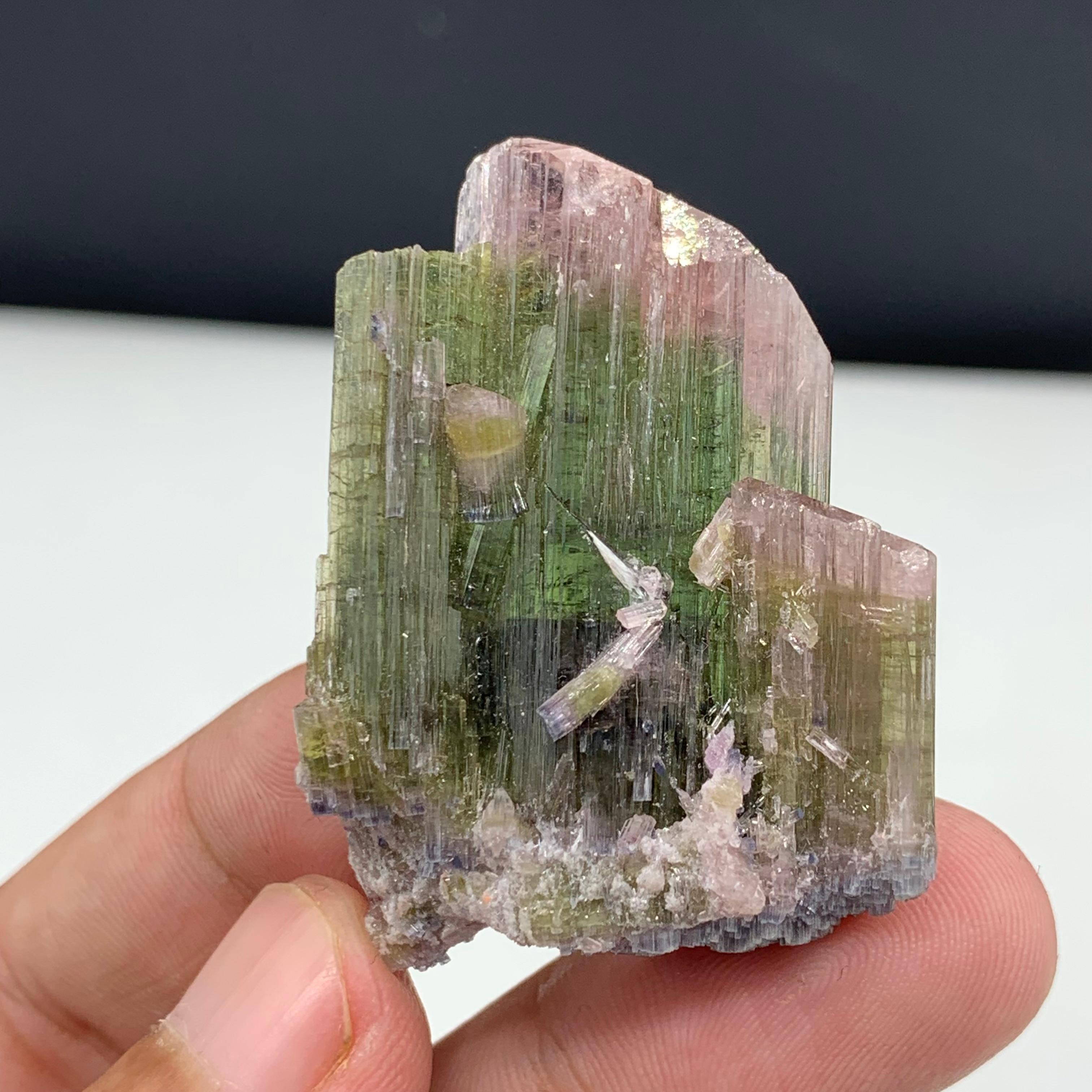 Rock Crystal 18.50 Gram Pretty Bi Color Tourmaline Specimen From Paprook, Afghanistan  For Sale