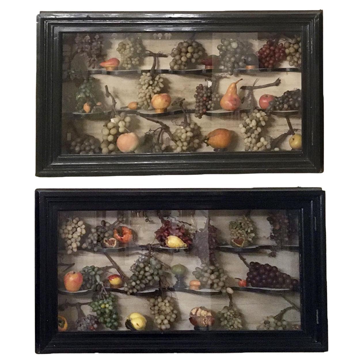 1850 Italy Pair Wunderkammer Vitrines with Natural Faux Fruits in Baroque Style For Sale
