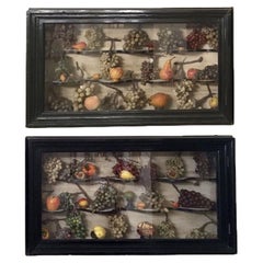 Paire de vitrines Wunderkammer avec faux fruits naturels de style baroque, Italie, 1850