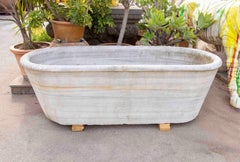 1850s Antique Freestanding Bathtub Carved from a Single Piece of White Marble