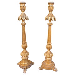 1850s Pair of Antique Italian Carved and Gilded Wood Candlesticks