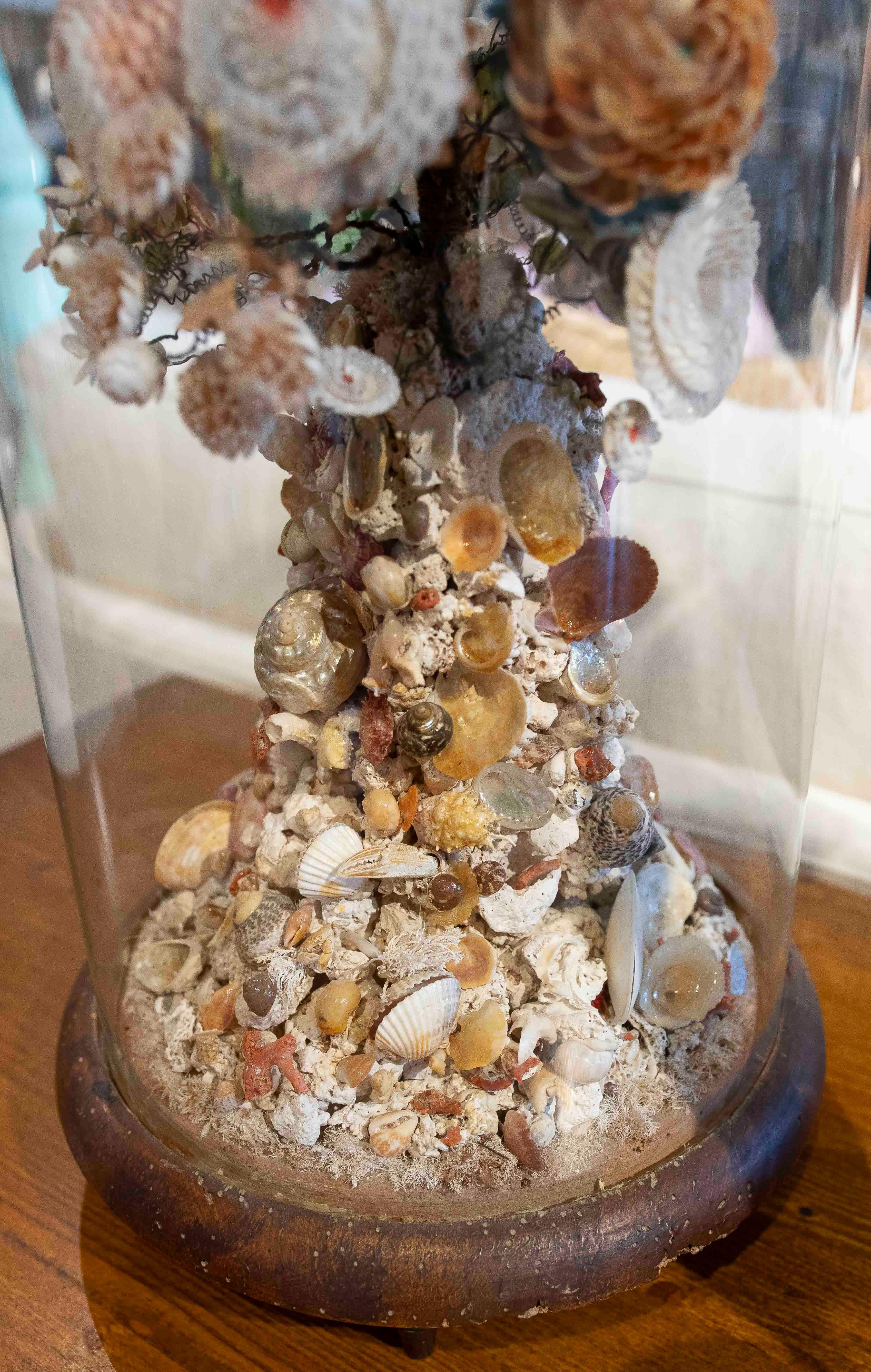 Paire de dioramas de coquillages floraux dans un dôme en verre, datant des années 1850 en vente 4