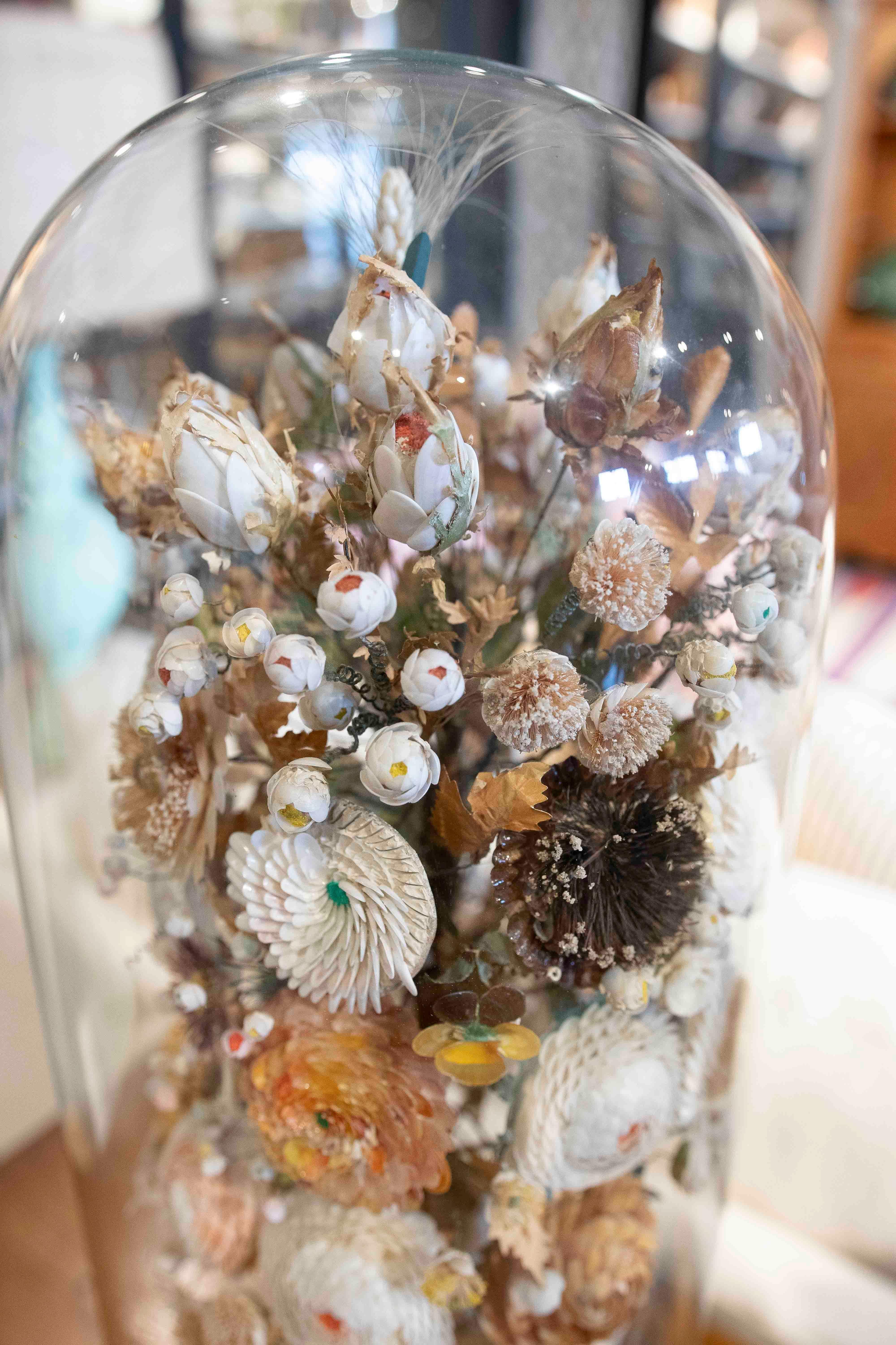 Paire de dioramas de coquillages floraux dans un dôme en verre, datant des années 1850 en vente 6