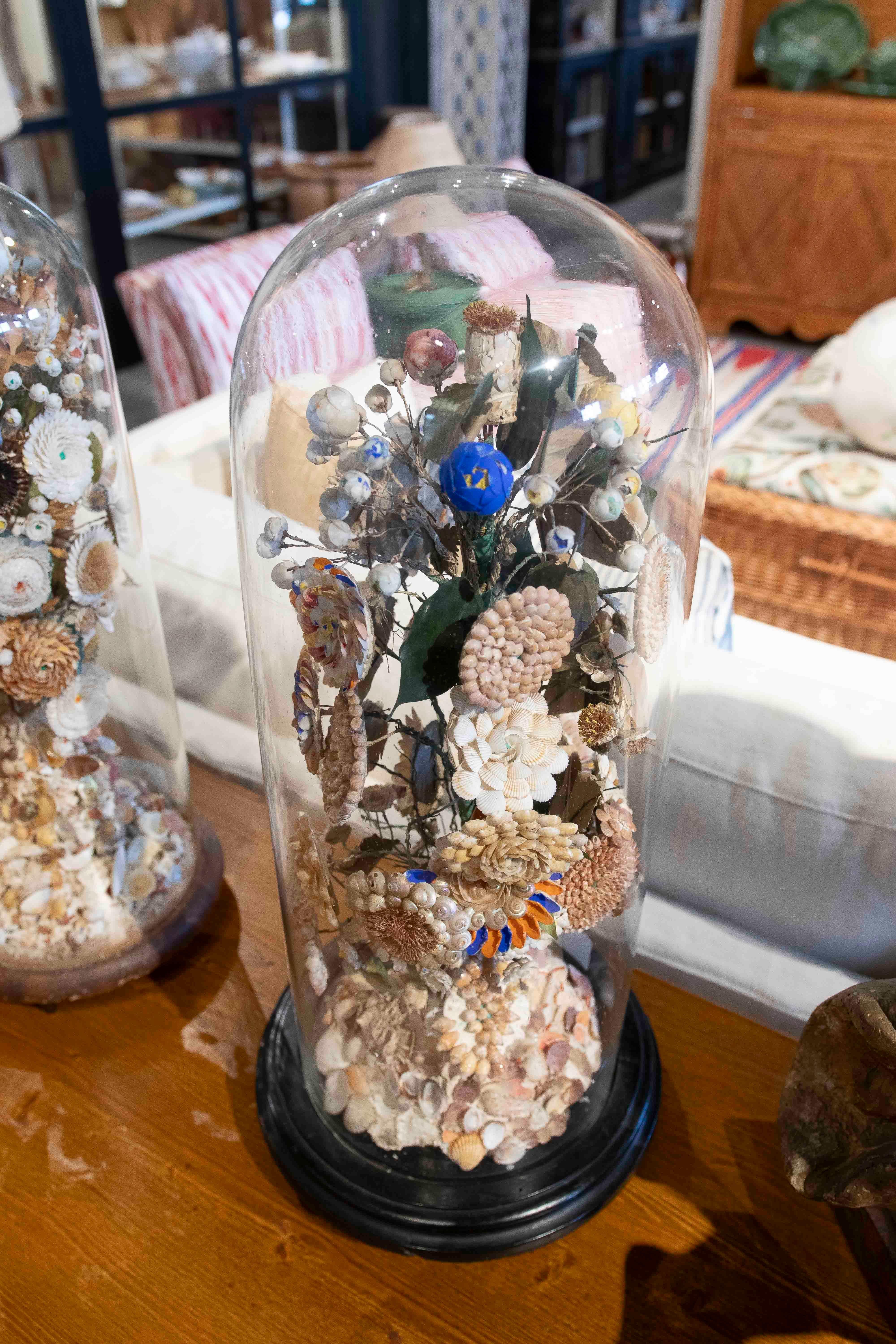 Paire de dioramas de coquillages floraux dans un dôme en verre, datant des années 1850 en vente 1