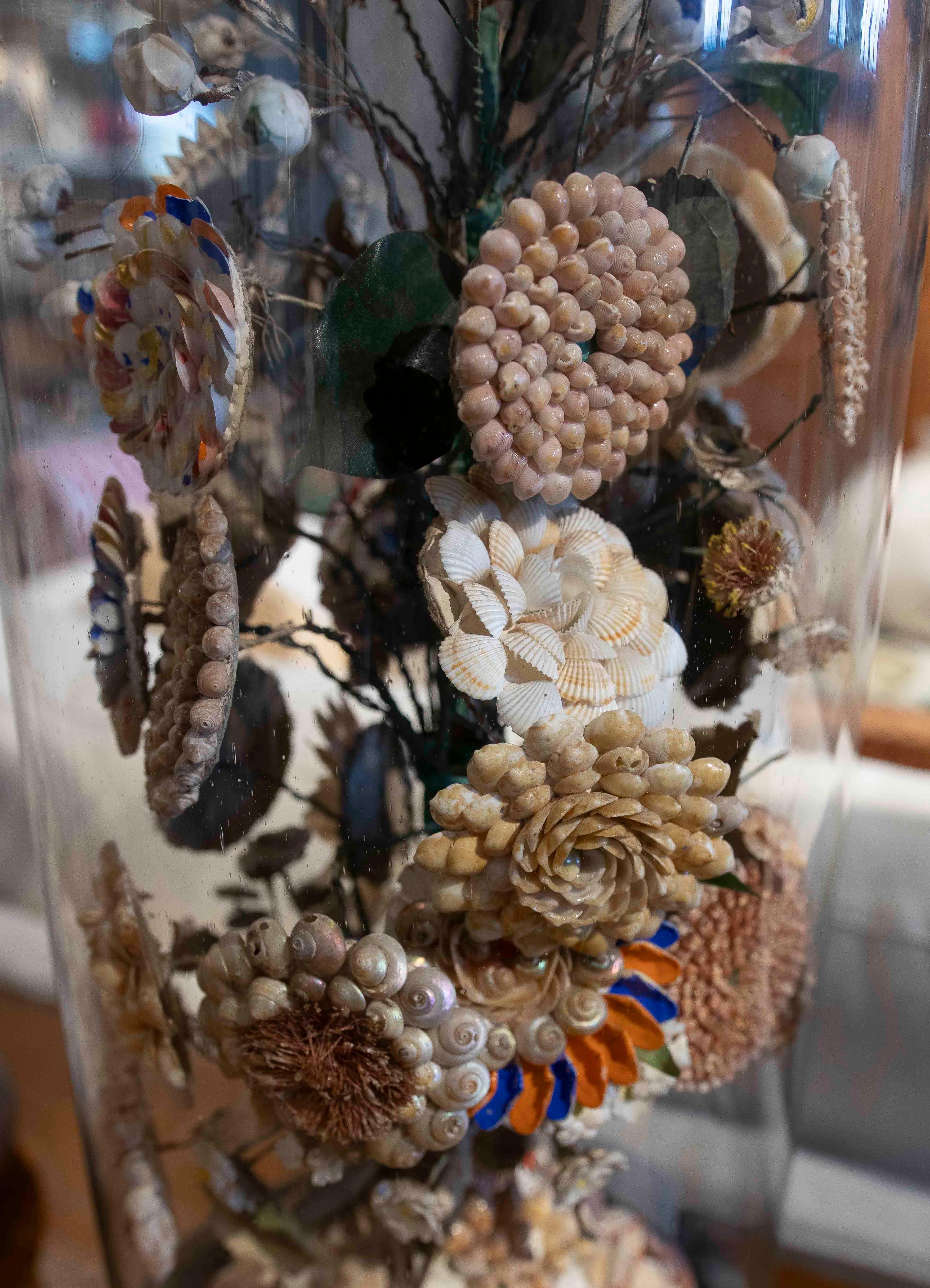 Paire de dioramas de coquillages floraux dans un dôme en verre, datant des années 1850 en vente 2