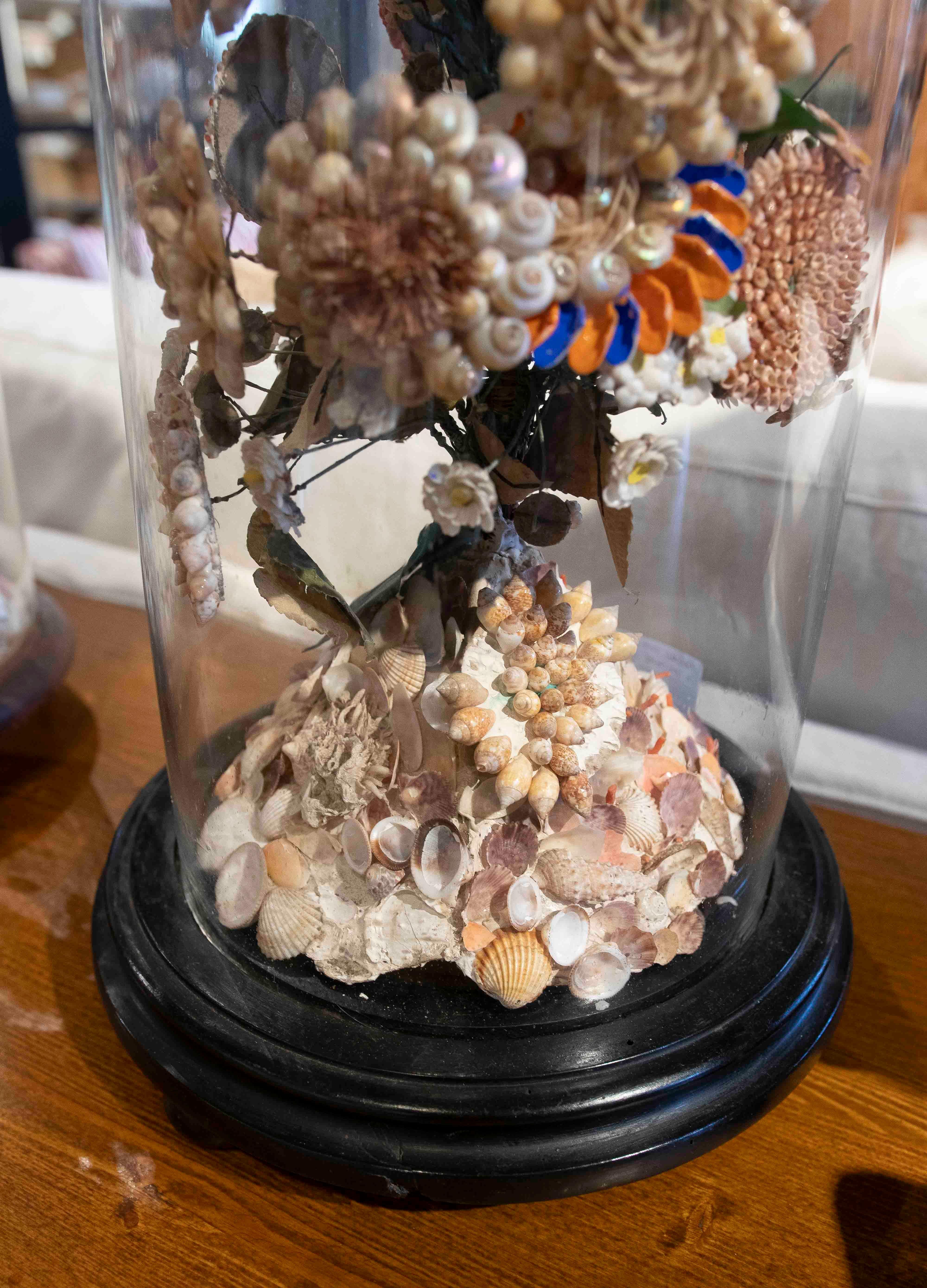 Paire de dioramas de coquillages floraux dans un dôme en verre, datant des années 1850 en vente 3