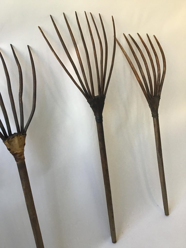 1850s Wooden Rakes at 1stDibs wooden rakes for sale