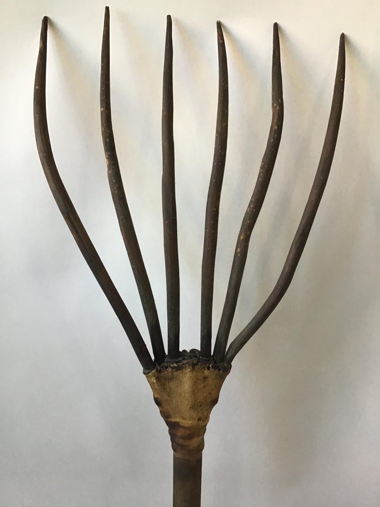 1850s Wooden Rakes For Sale at 1stDibs