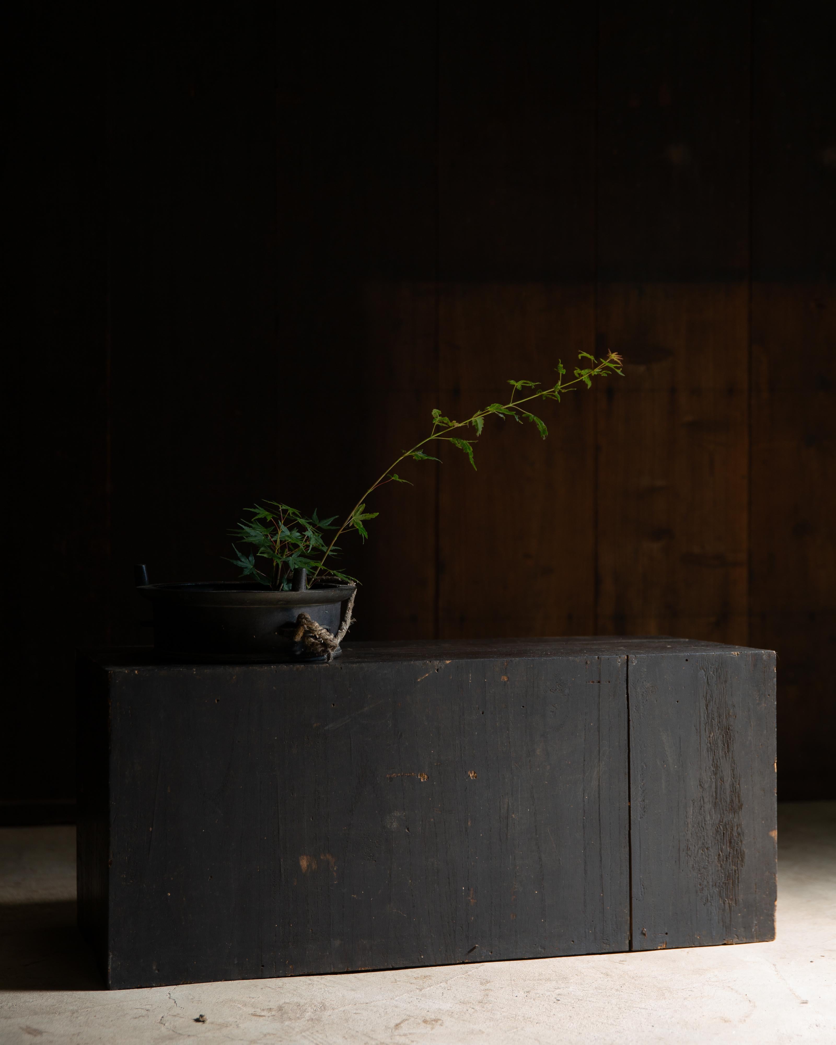 1852 Commode japonaise Edo antique wabi sabi Urushi mid Tansu en vente 11