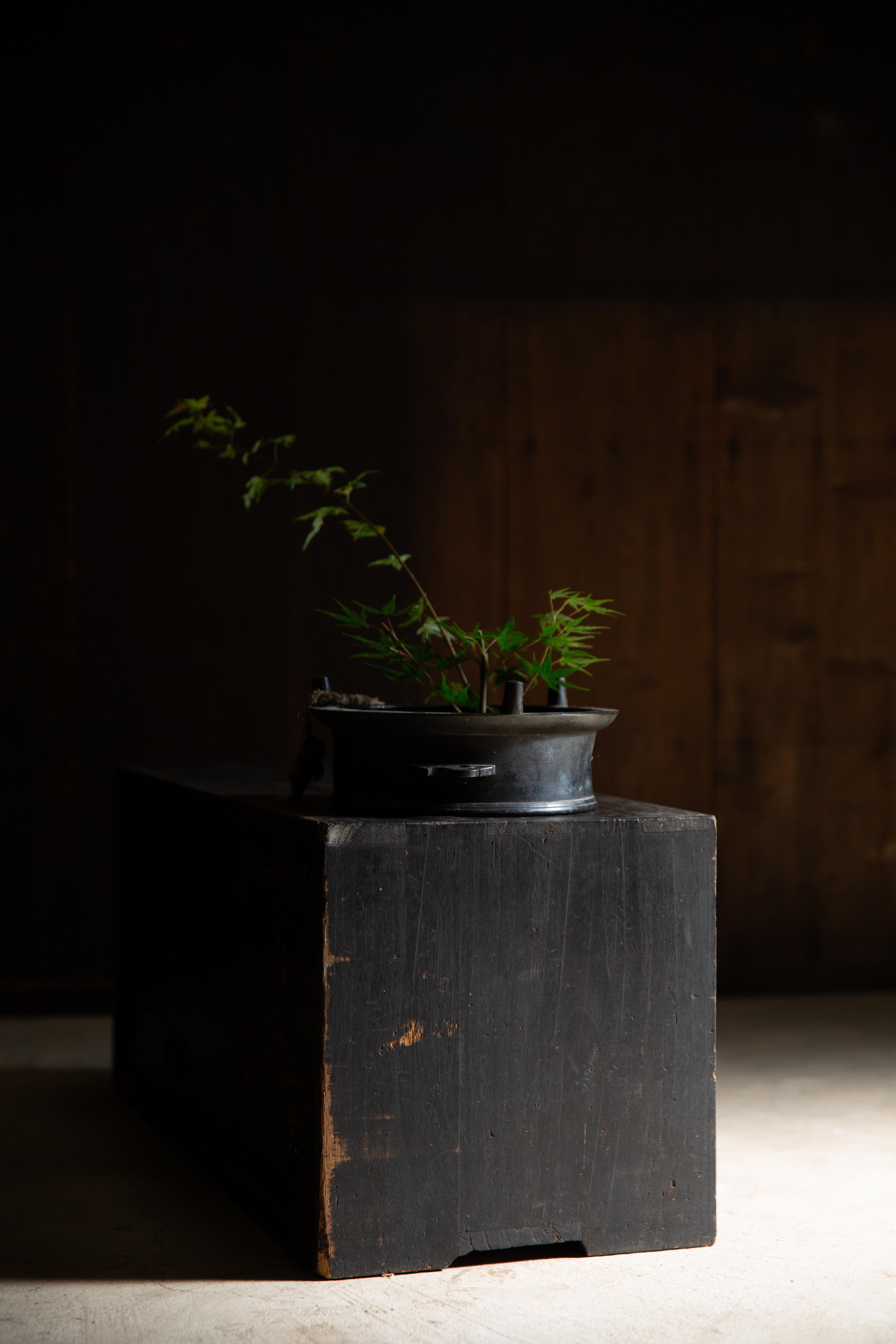 Milieu du XIXe siècle 1852 Commode japonaise Edo antique wabi sabi Urushi mid Tansu en vente