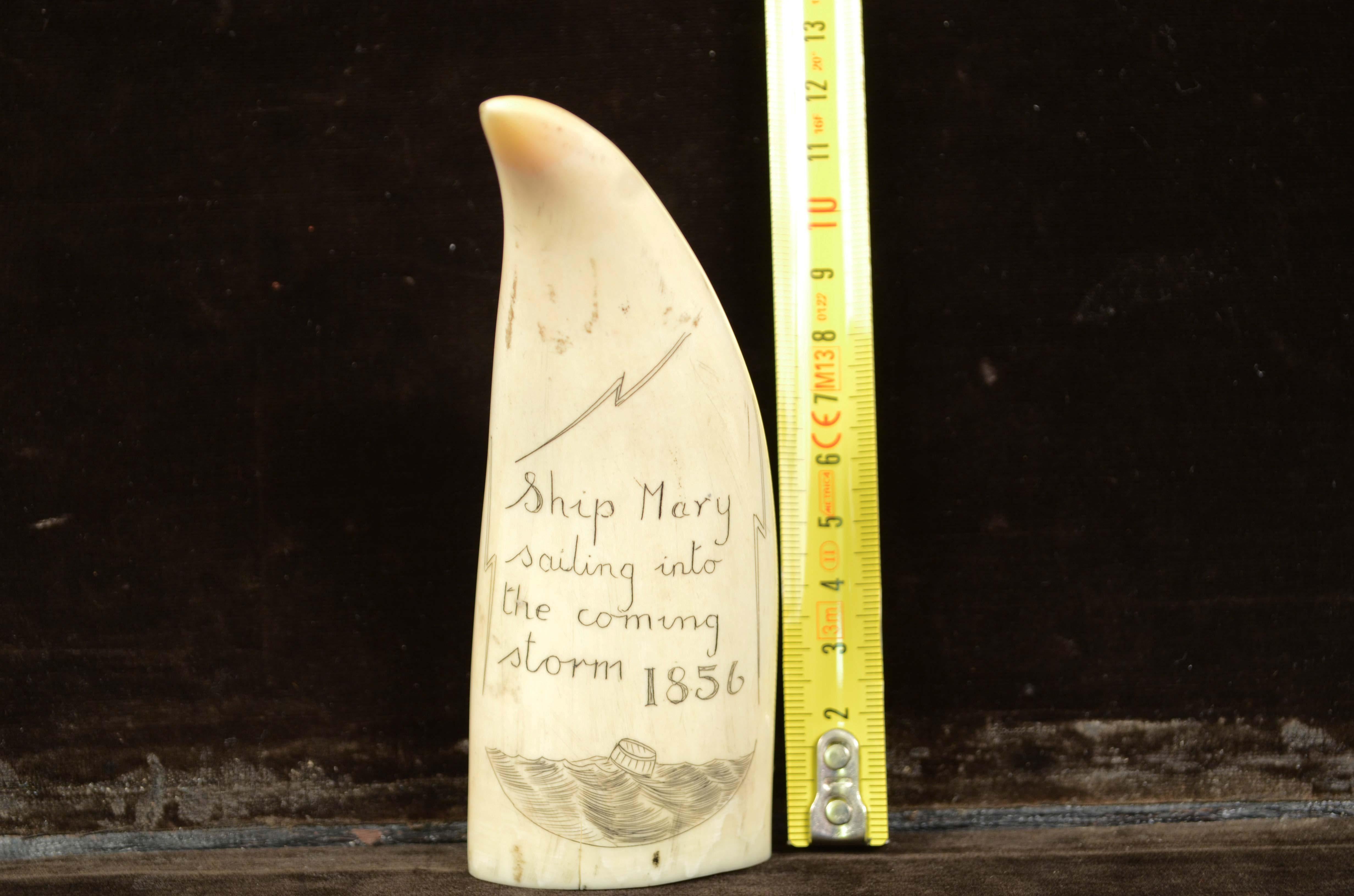 Scrimshaw of a vertically engraved whale tooth, very good workmanship, dated 1856, length 12 cm.
Depicting a brig in - Storm. The reverse of the tooth has the engraving Ship Mary sailing into the coming storm
1856.
Very good condition. 12X4.6x3.1