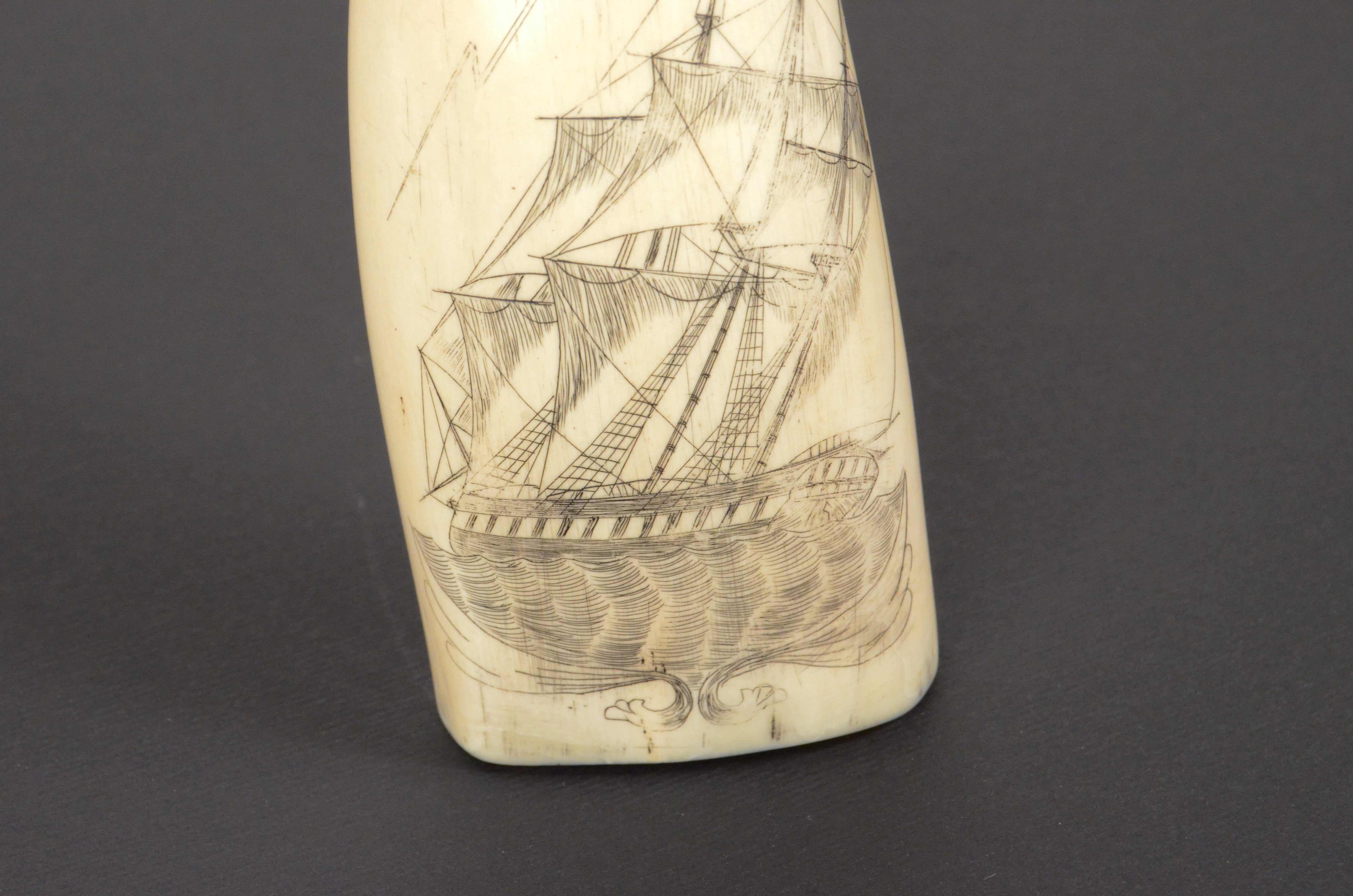 Bone 1856s Vertical Engraved Scrimshaw of a Whale Tooth Antique Nautical Workmanship