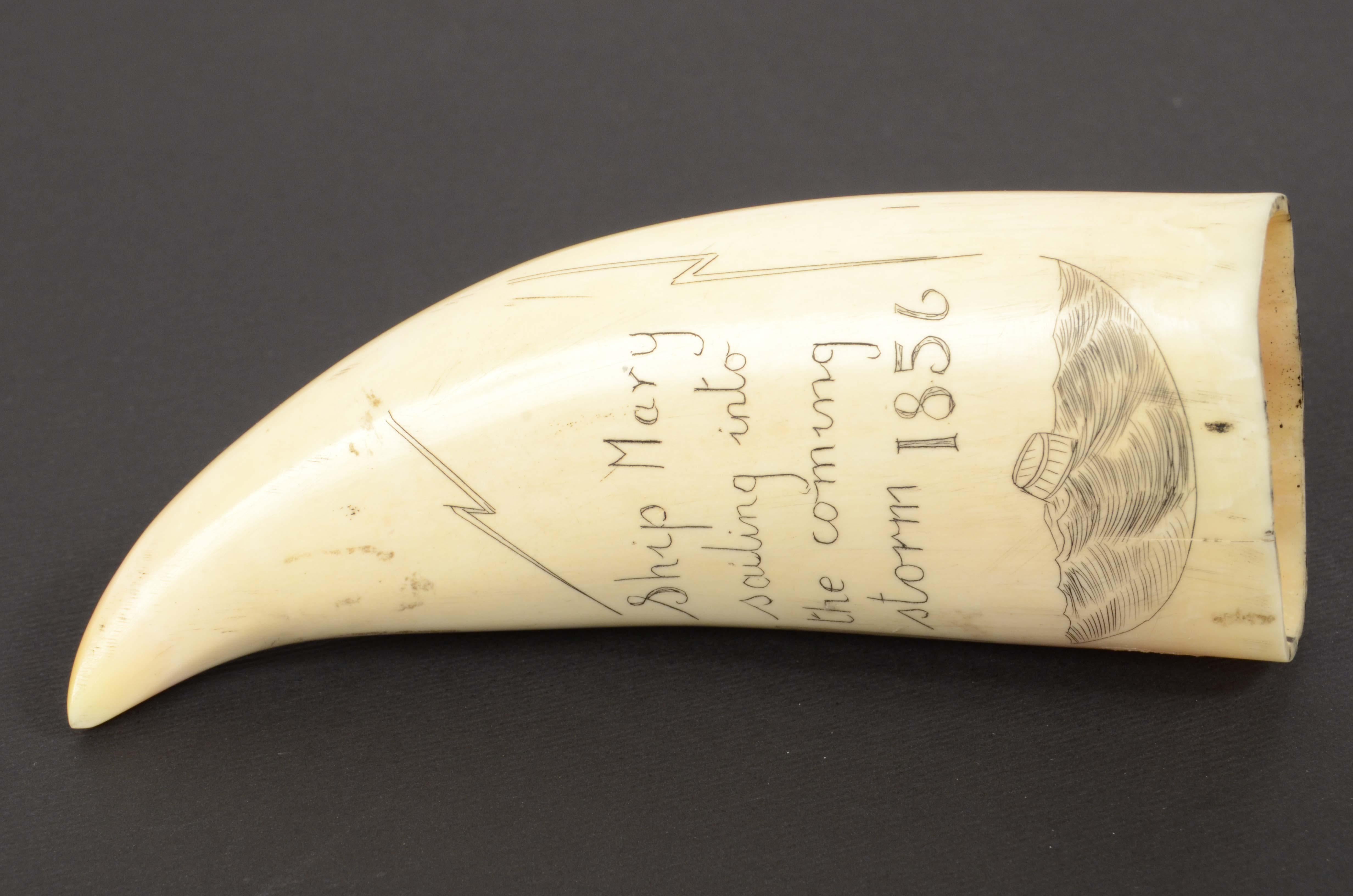 1856s Vertical Engraved Scrimshaw of a Whale Tooth Antique Nautical Workmanship 2
