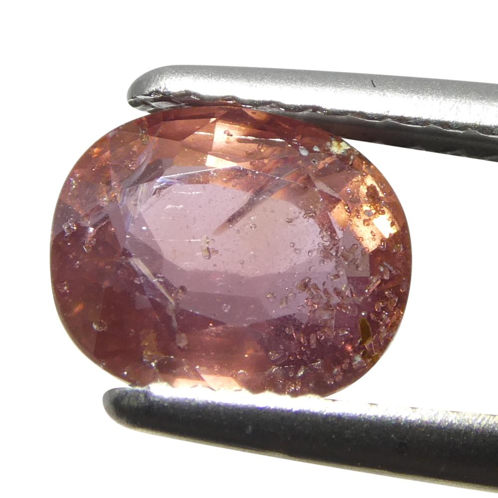 Saphir rose coussin de Tanzanie non chauffé 1,85 carat en vente 7