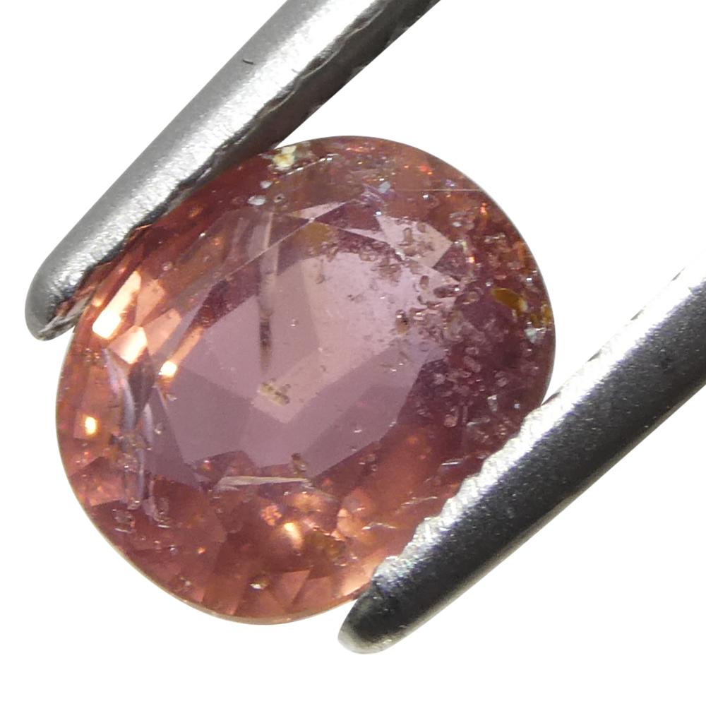 Saphir rose coussin de Tanzanie non chauffé 1,85 carat en vente 8