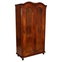 Antique 1860s Austrian Biedermeier Wardrobe Cupboard in Walnut, Polished to Wax