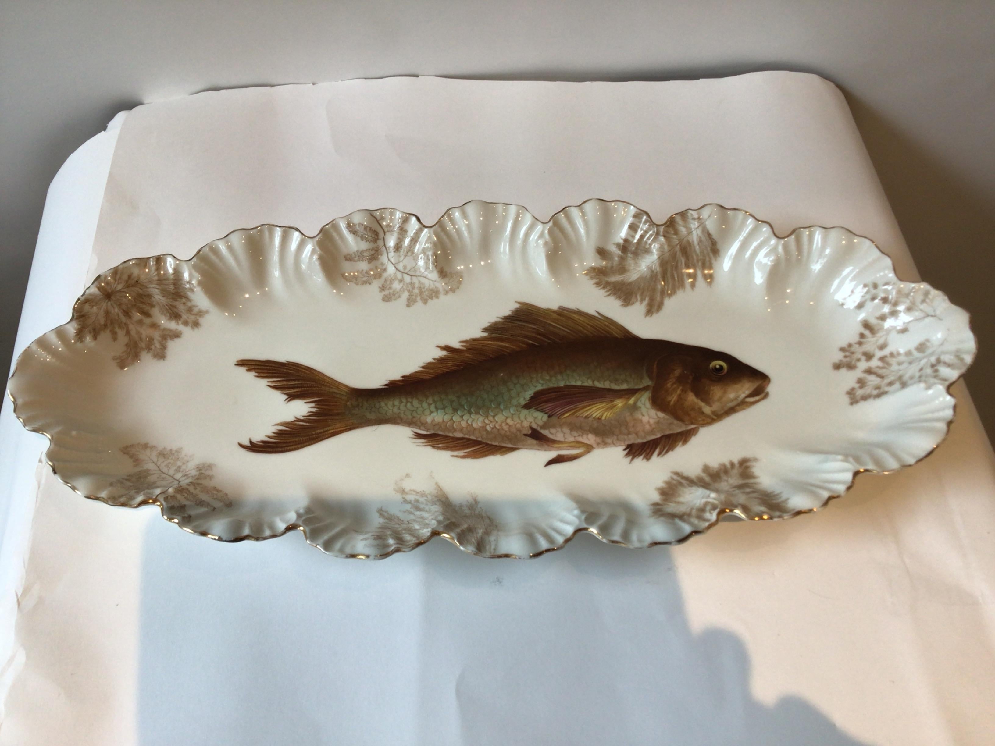 1860s 13 piece Davis Collamore Fish set. Platter and 12 plates, marked A.L. Depose. Transfer ware with painted highlights.